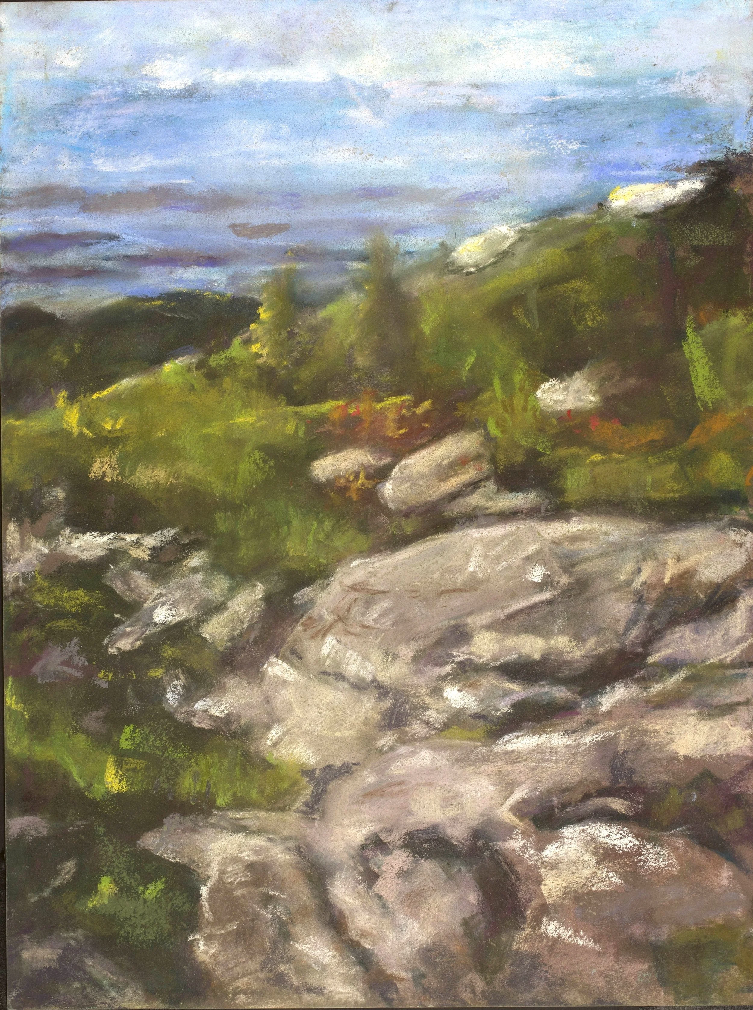 24-0226, 2023, Pastel on paper, 12" x 16"