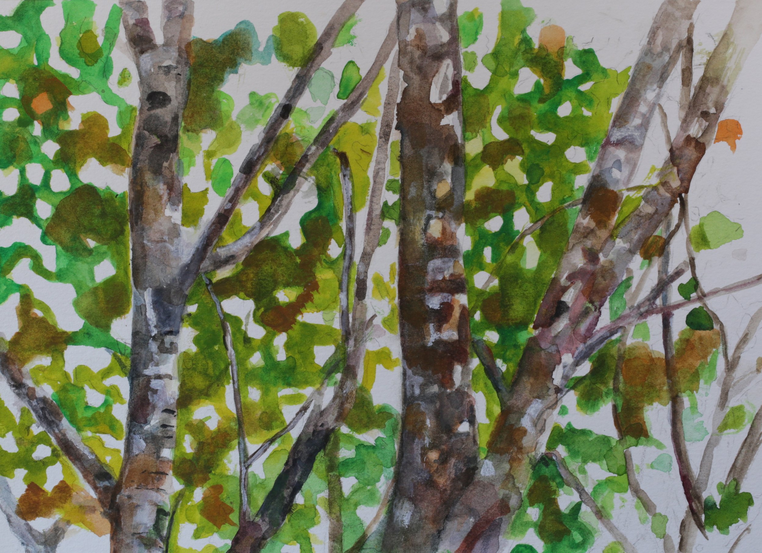 26-0337, 2024, Watercolor on paper, 8" X 11"