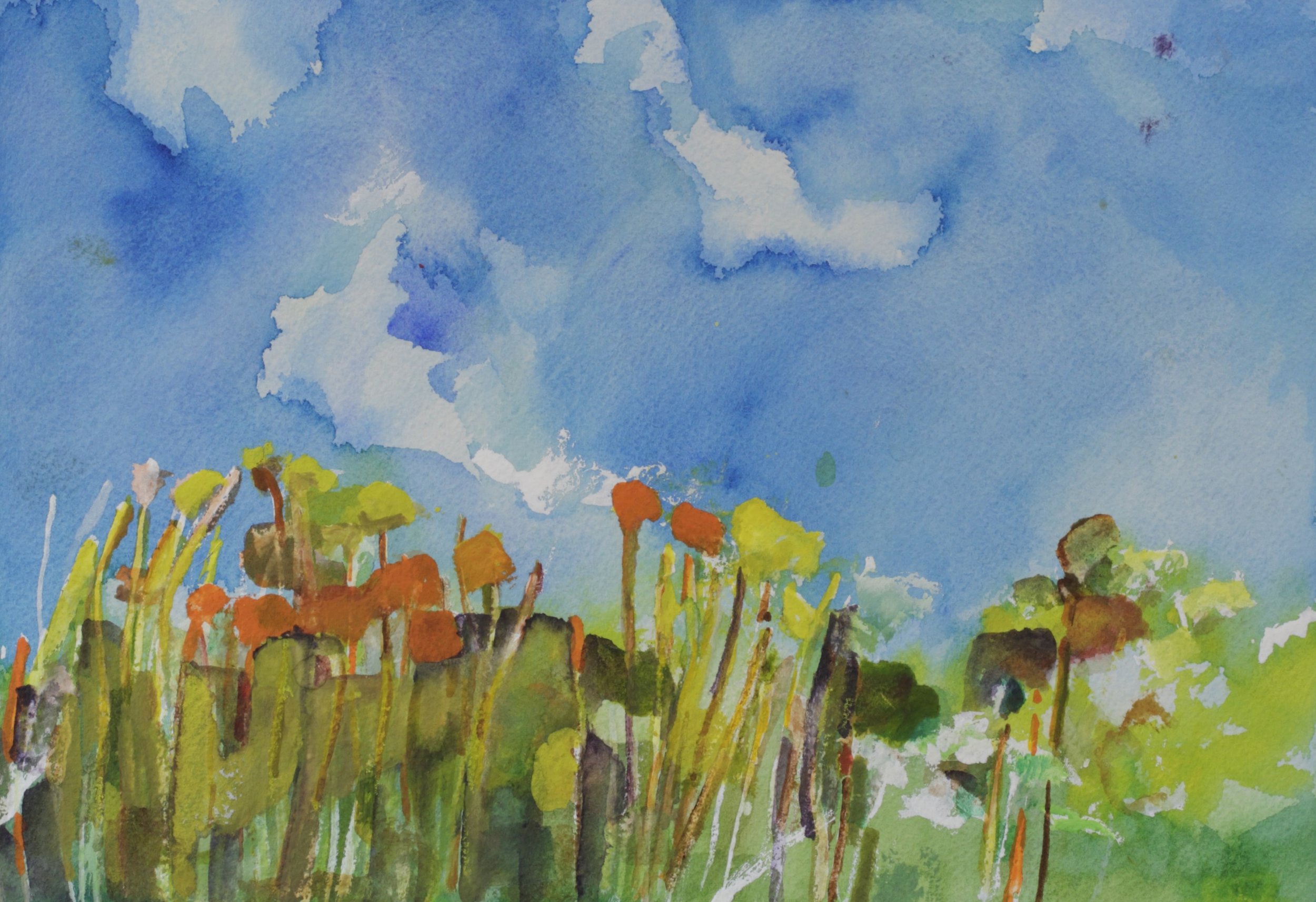 24-0344, 2024, Watercolor on paper, 7" X 10 3/4"