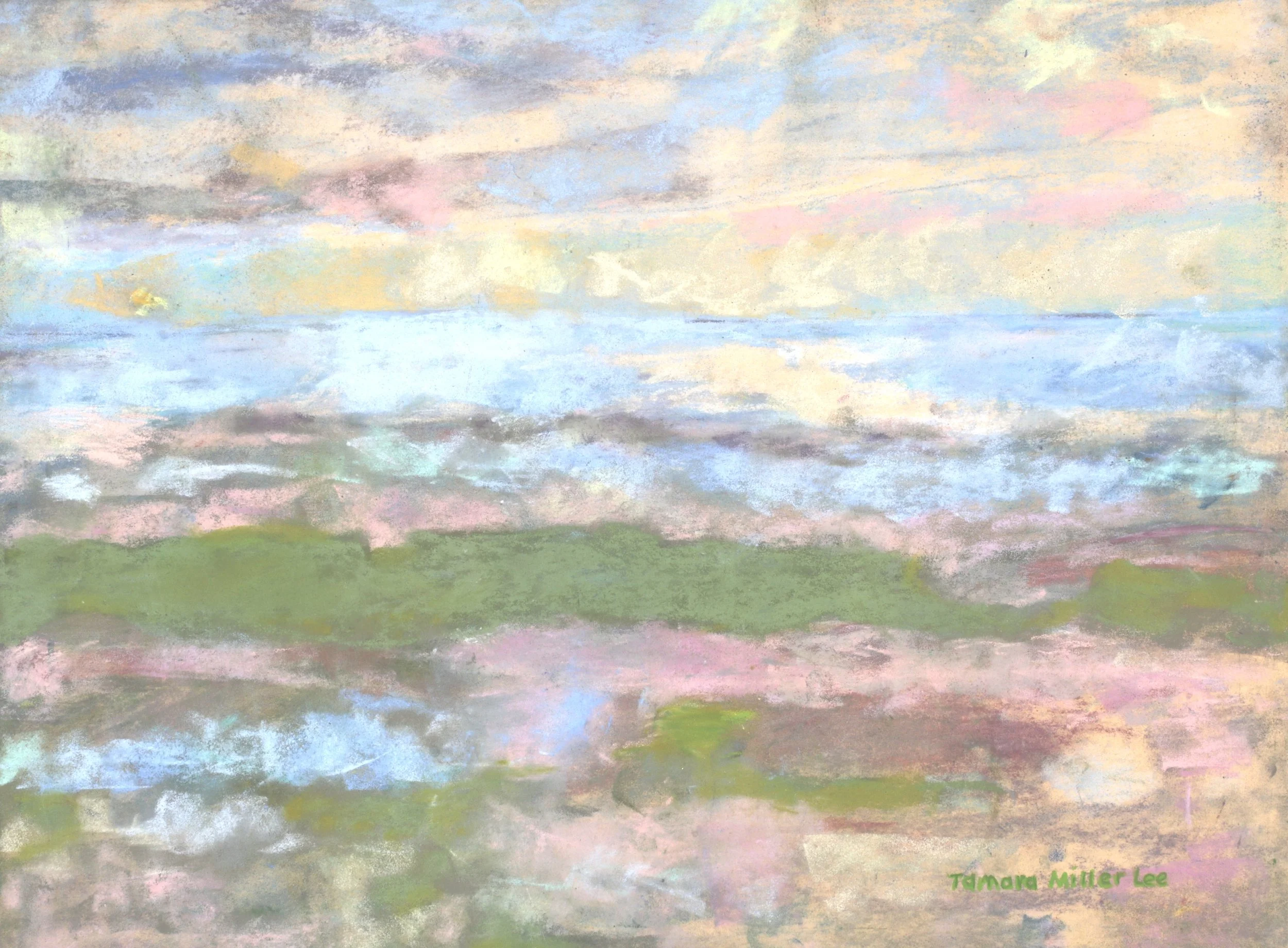 24-0259, 2024, Pastel on paper, 11 3/4" x 15 3/4"