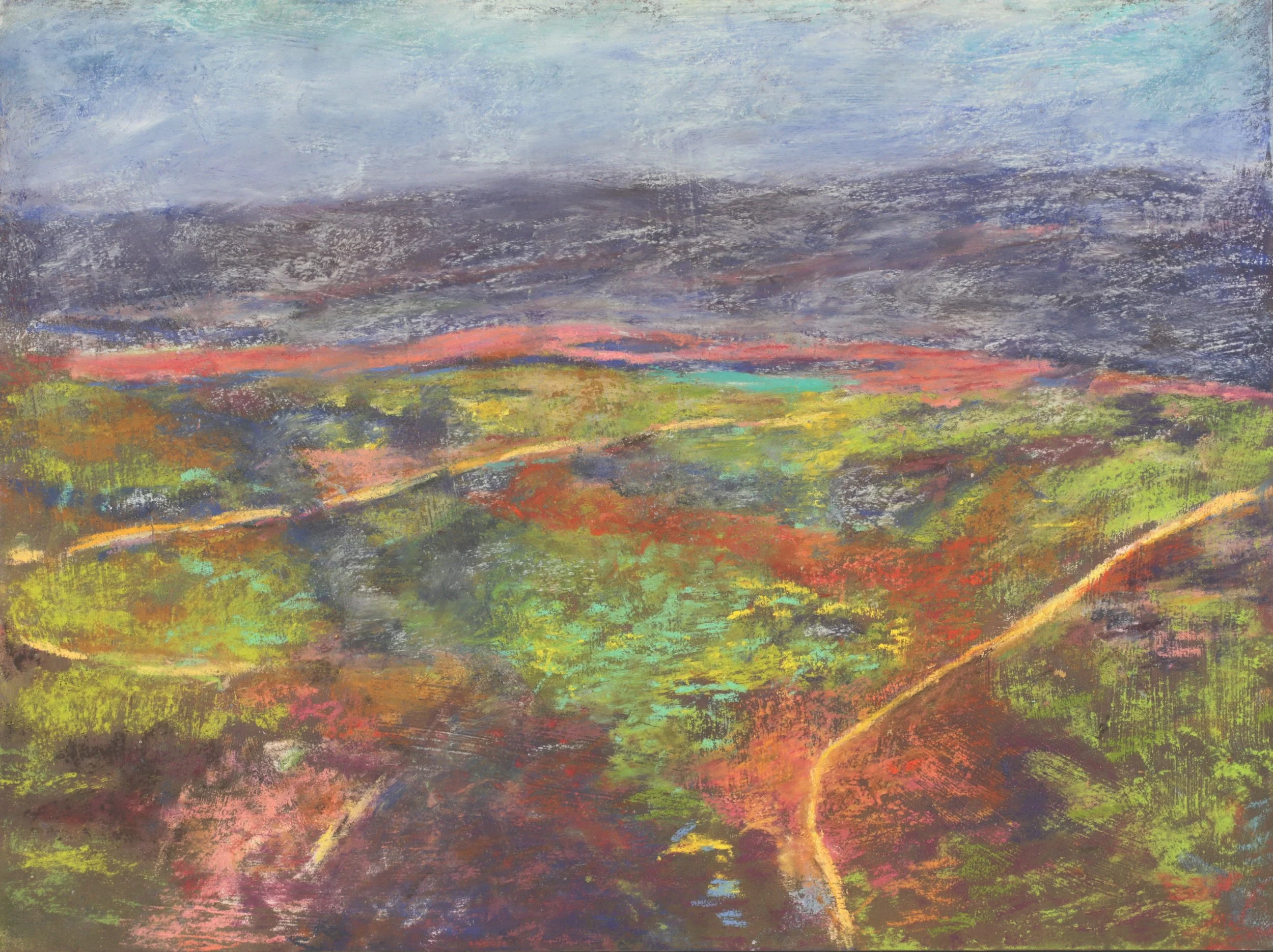 24-0238, 2025, Pastel on paper, 12" x 16"