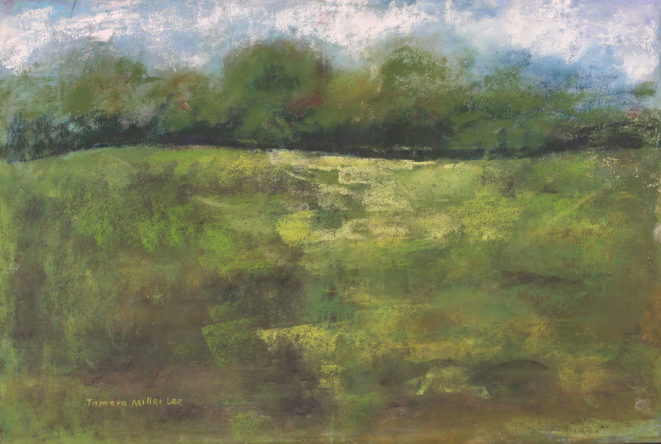 24-0241, 2025, Pastel on paper, 12" x 18"