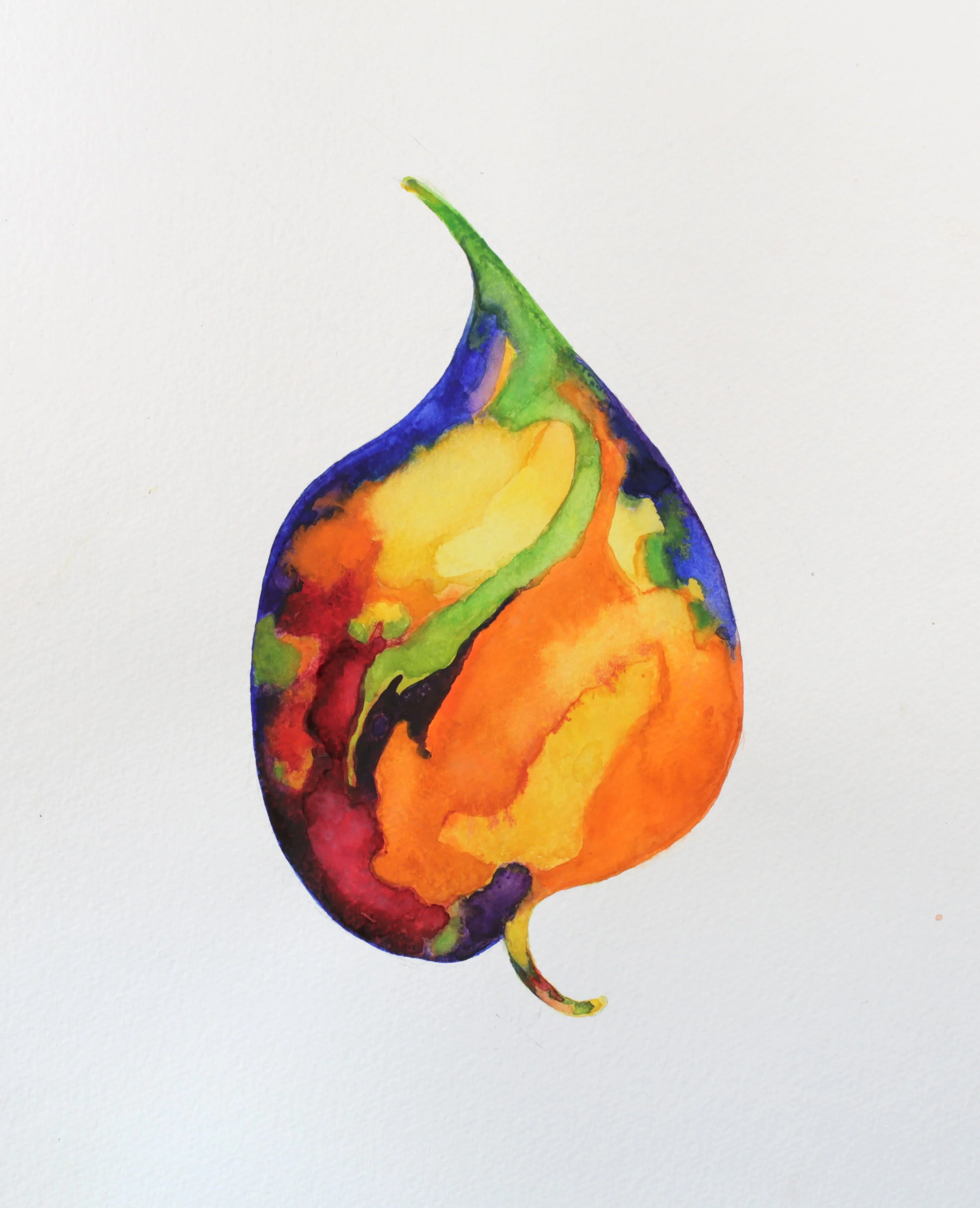 25-0320, 2017, Watercolor on paper, 15" X 11"
