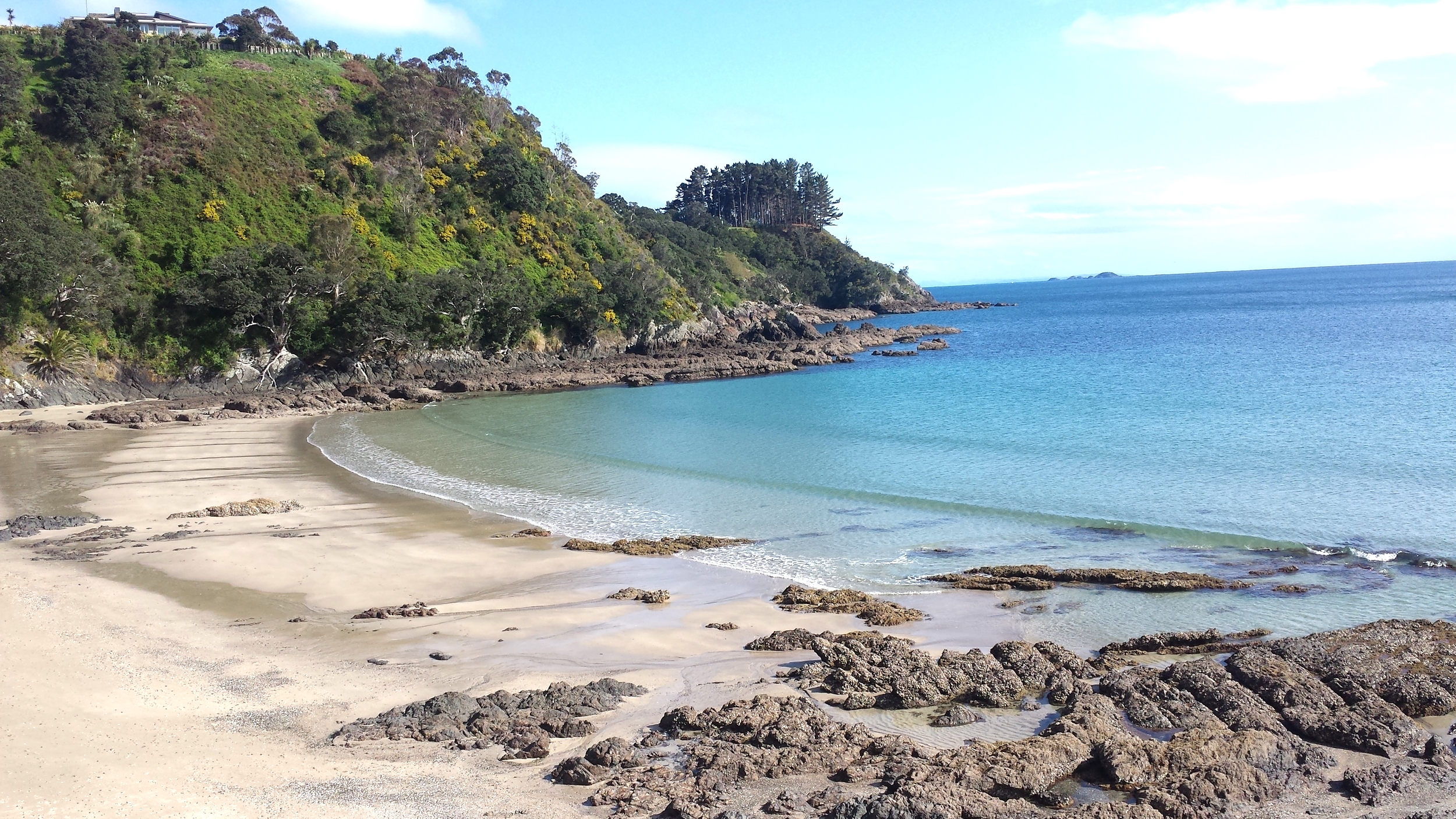 Amazing Palm Beach - about 1.5km