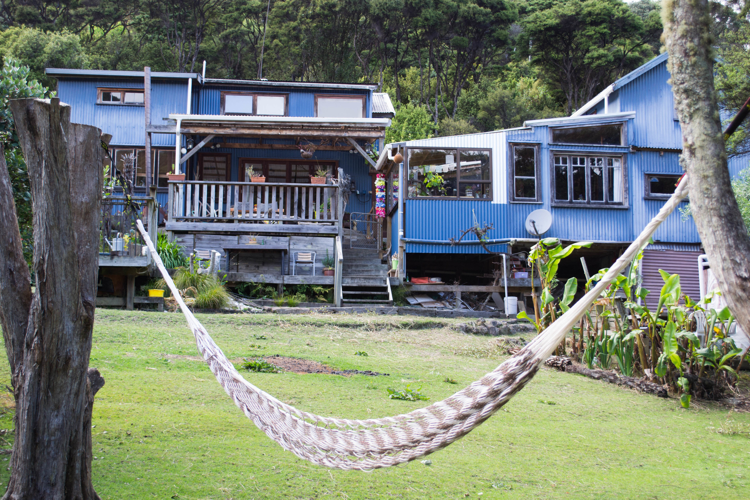 Hammock