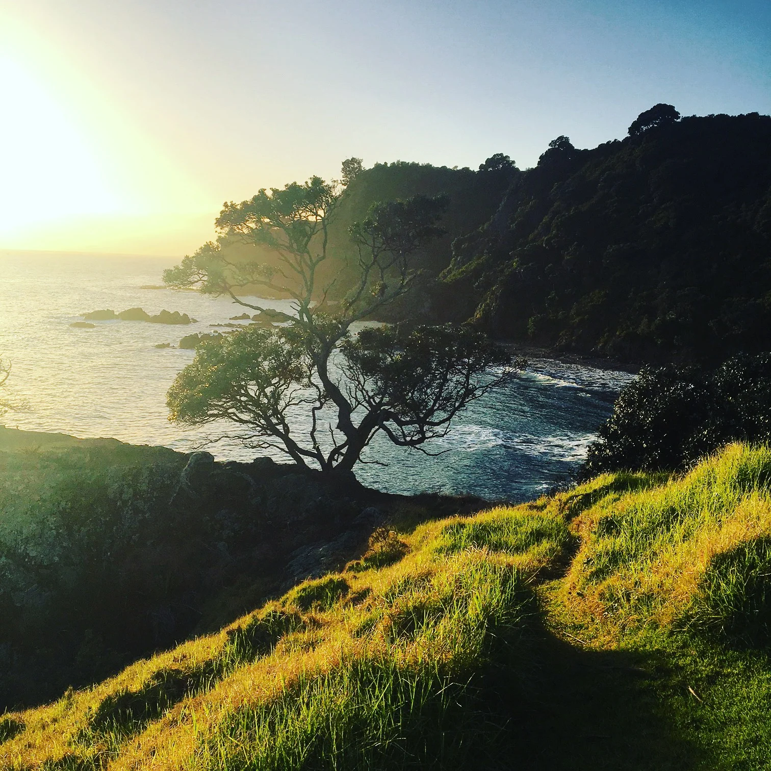 Secret spots: Winter months make for dramatic scenery on Waiheke Island