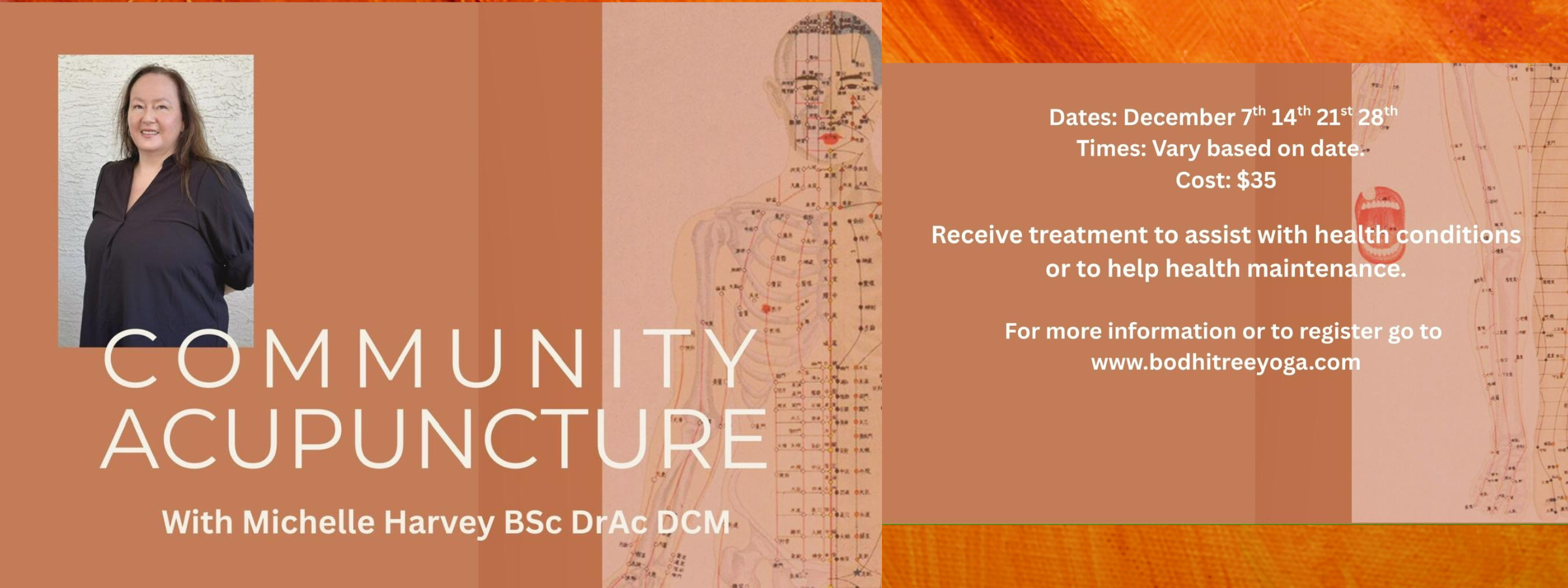 acupuncture banner.png