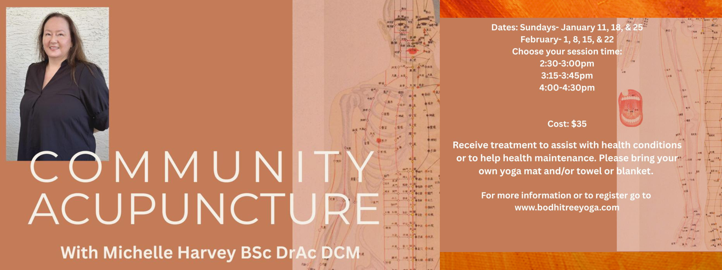 acupuncture banner.png