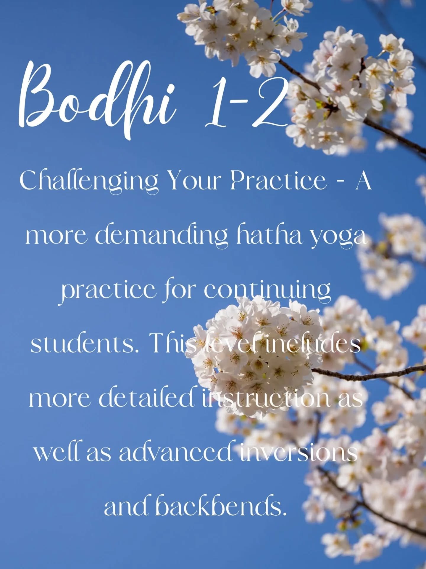 Been at the studio for a while?  Want to expand your practice and challenge yourself? 

Of course you do!  No better time than now, join Danielle for Bodhi 1-2 tomorrow at 5:45! All classes only $5 for this week only. 

#yqr #regina