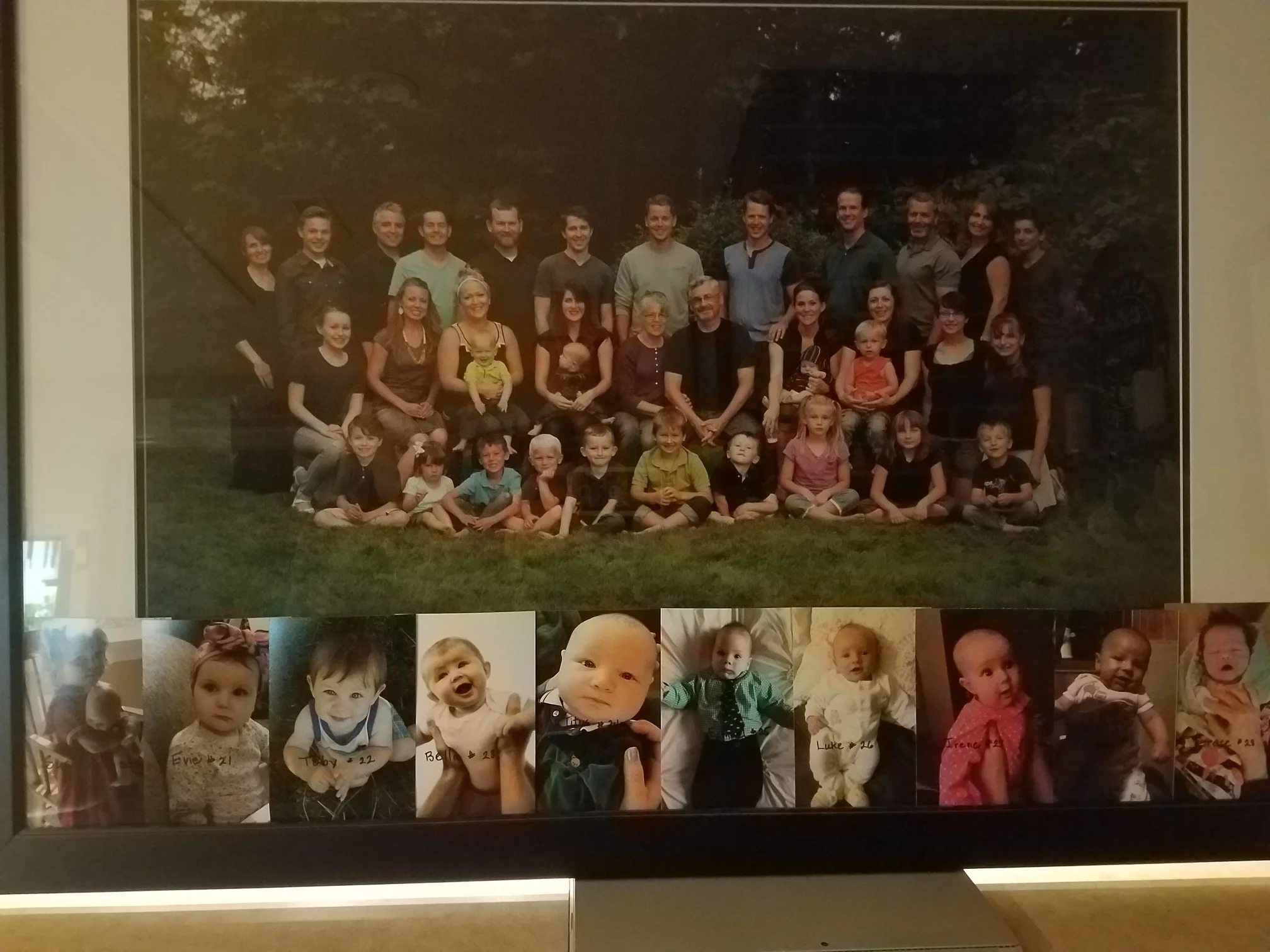 Resized_20181103_193943_8749.jpeg