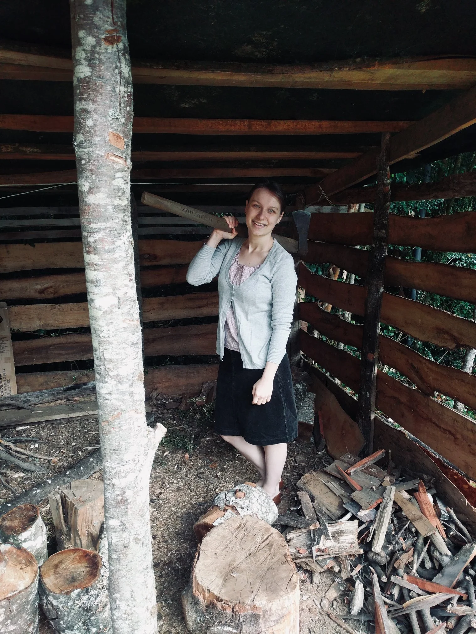 Yes, that is our granddaughter Naomi chopping wood for their wood stove in Chile—good work.