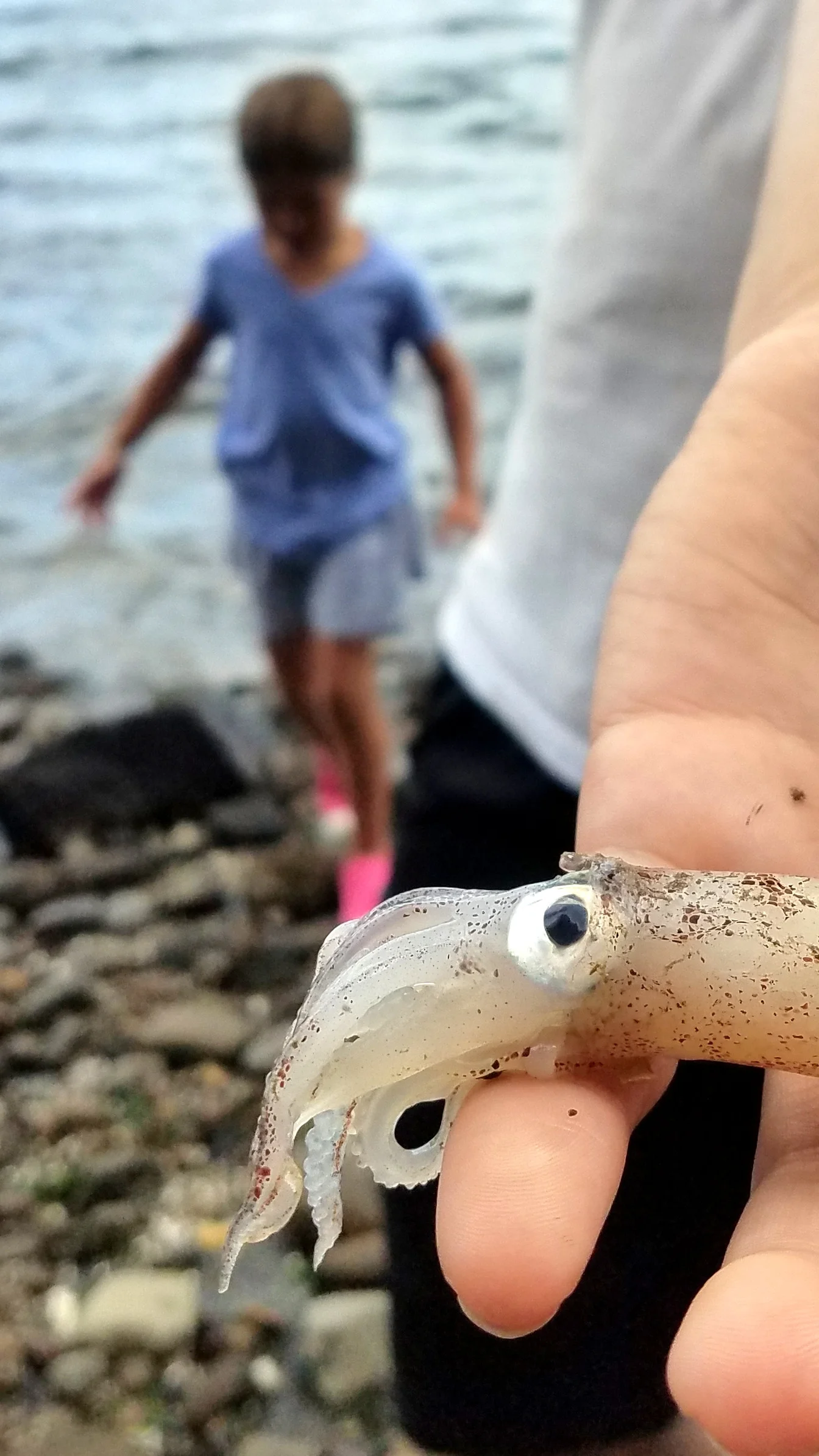 20190825_211735.jpg