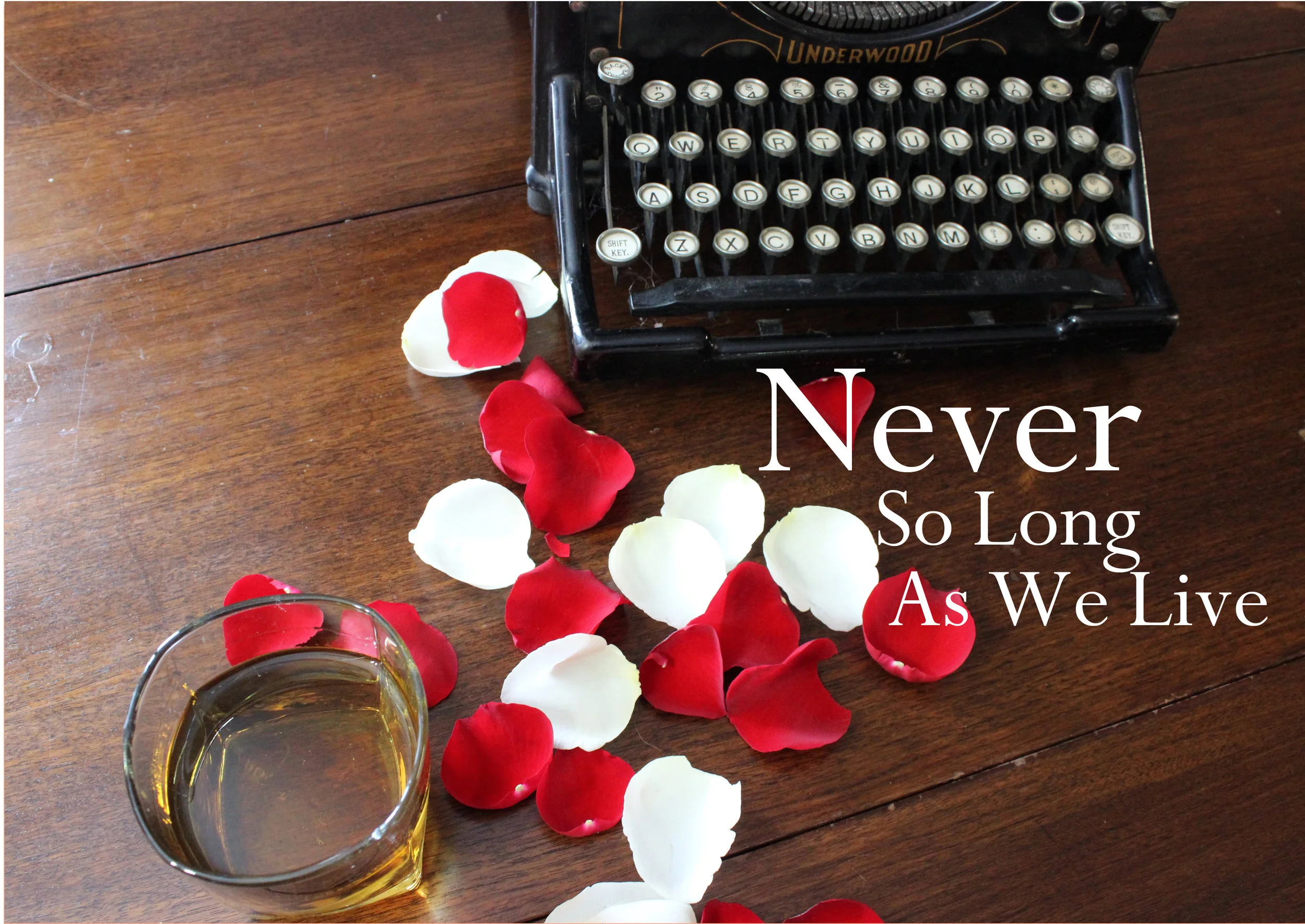 Book Cover NSLAWL.jpg