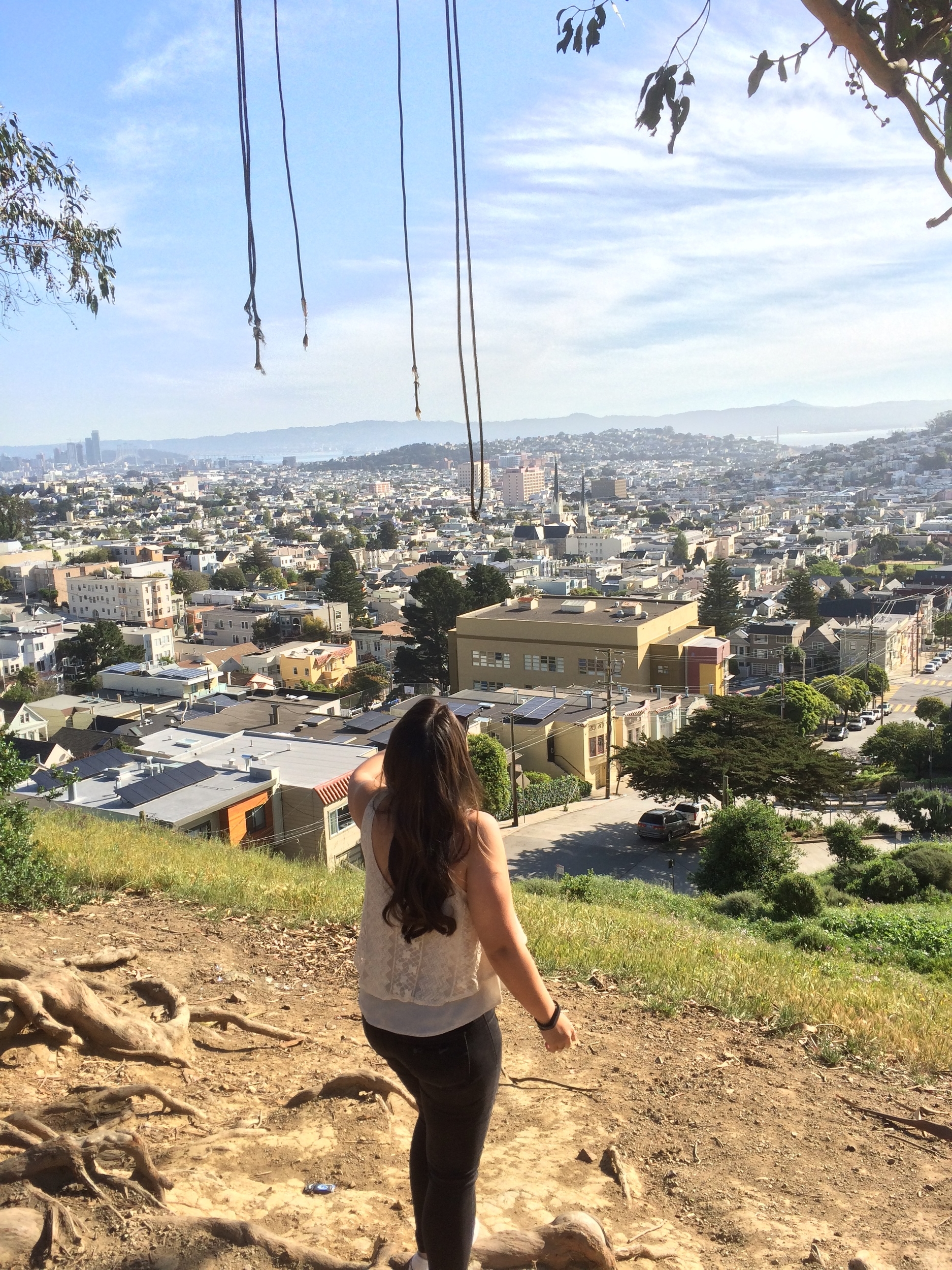 Billy Goat Hill Park Swing San Francisco California