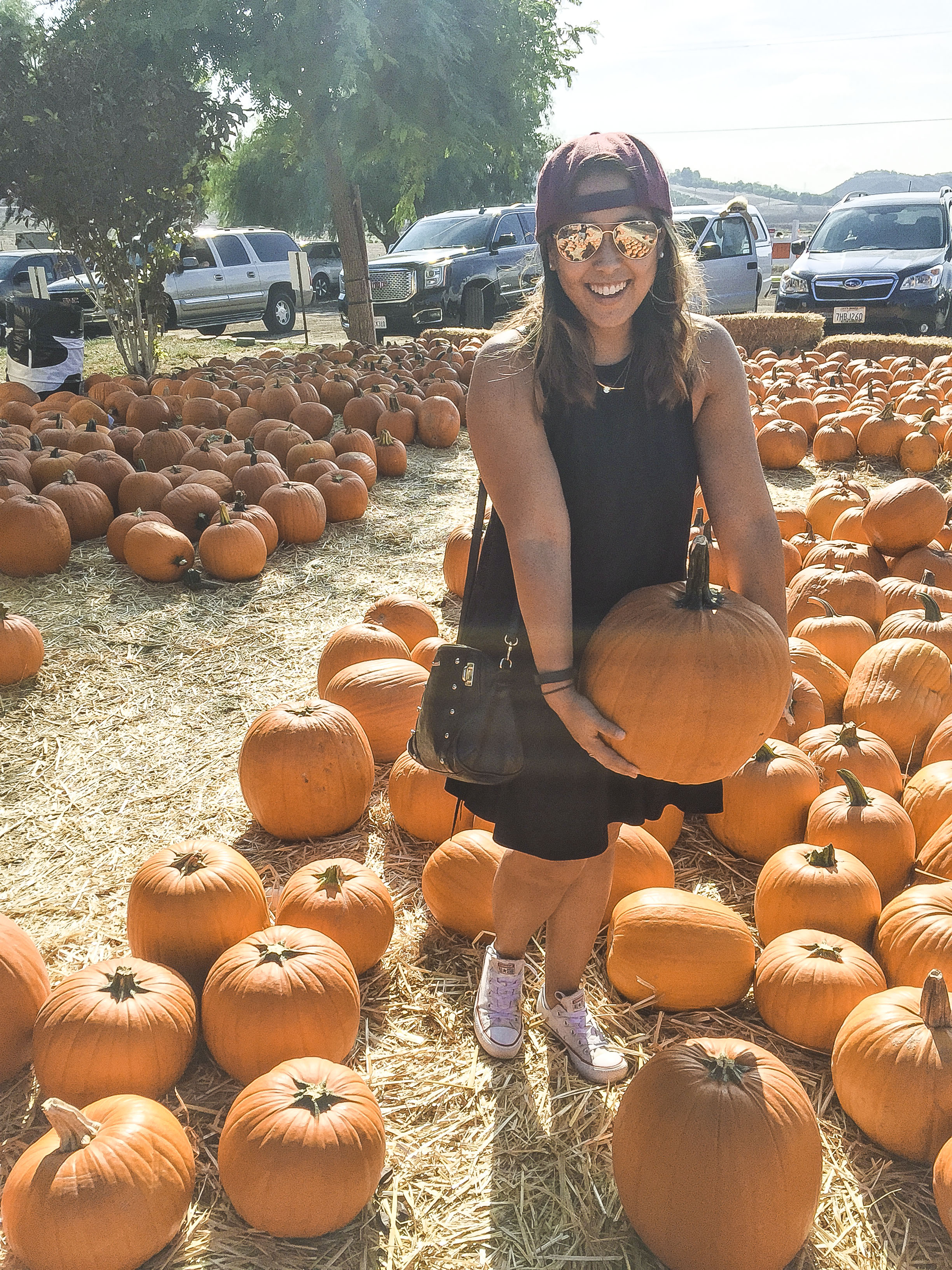 Los_Angeles_Pumpkin_Patch_3