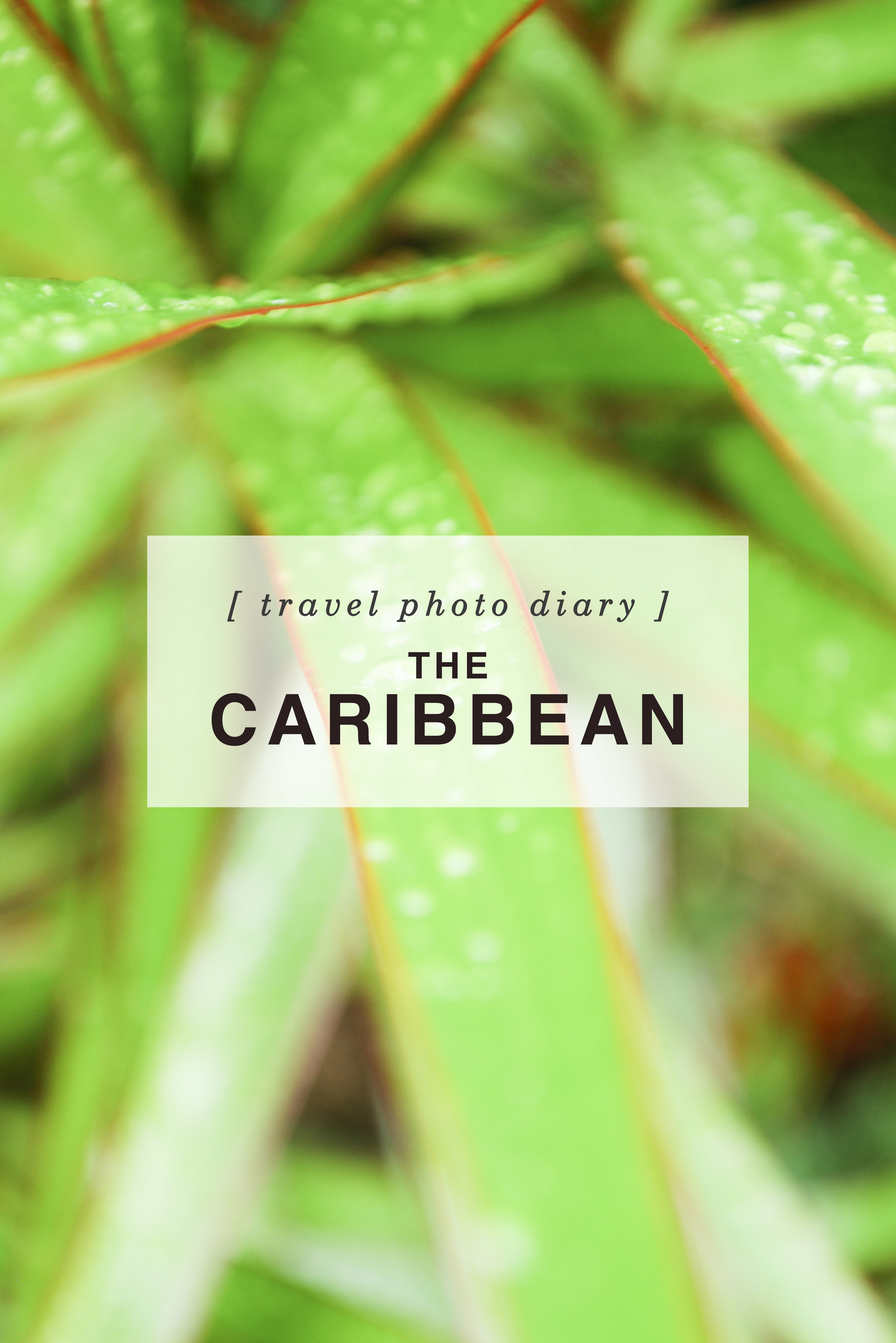 Travel Photo Diary: The Caribbean - Shannon Did What?