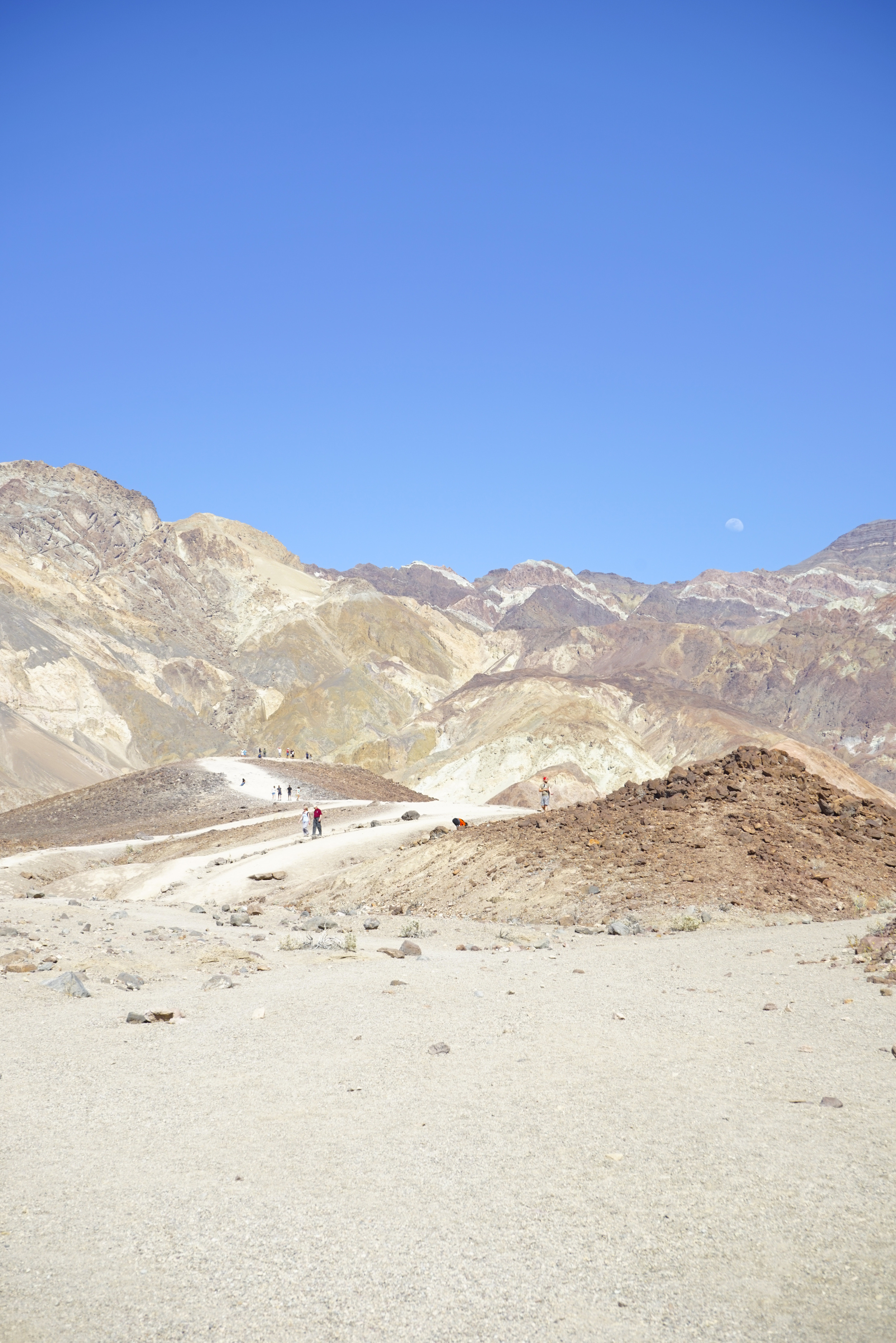 5 Reasons to Visit Death Valley Now - Shannon Did What?