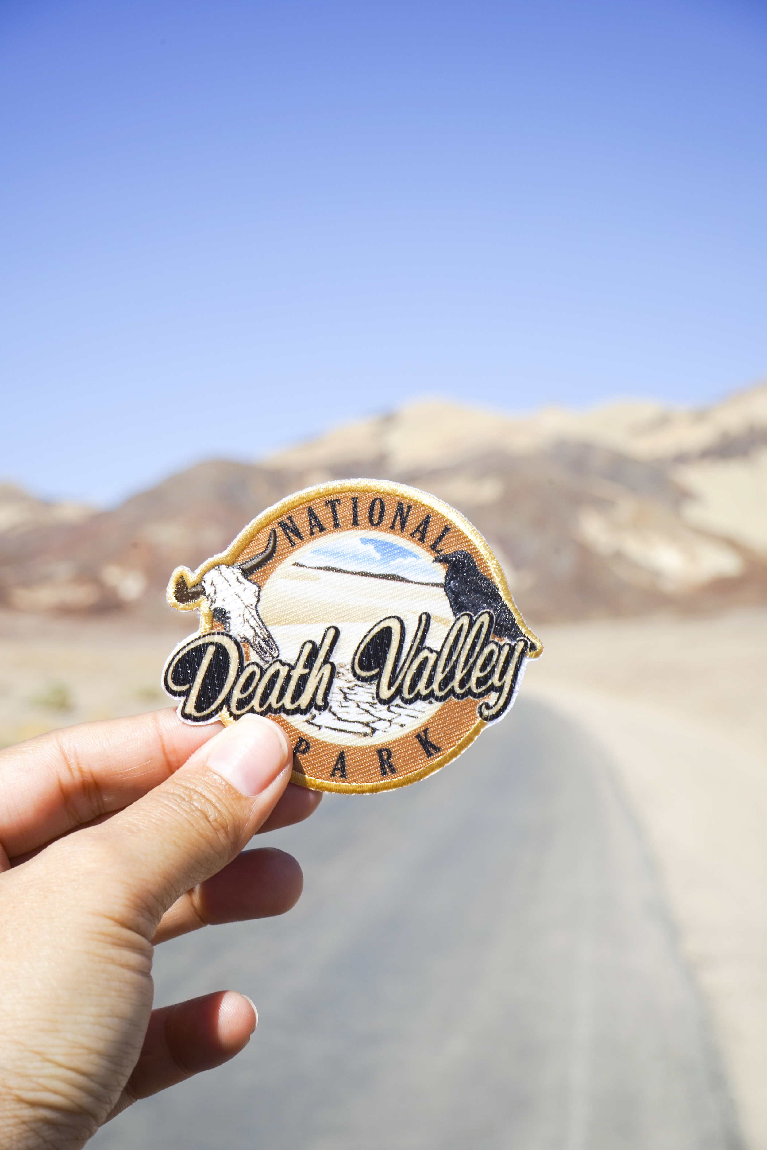 5 Reasons to Visit Death Valley Now - Shannon Did What?