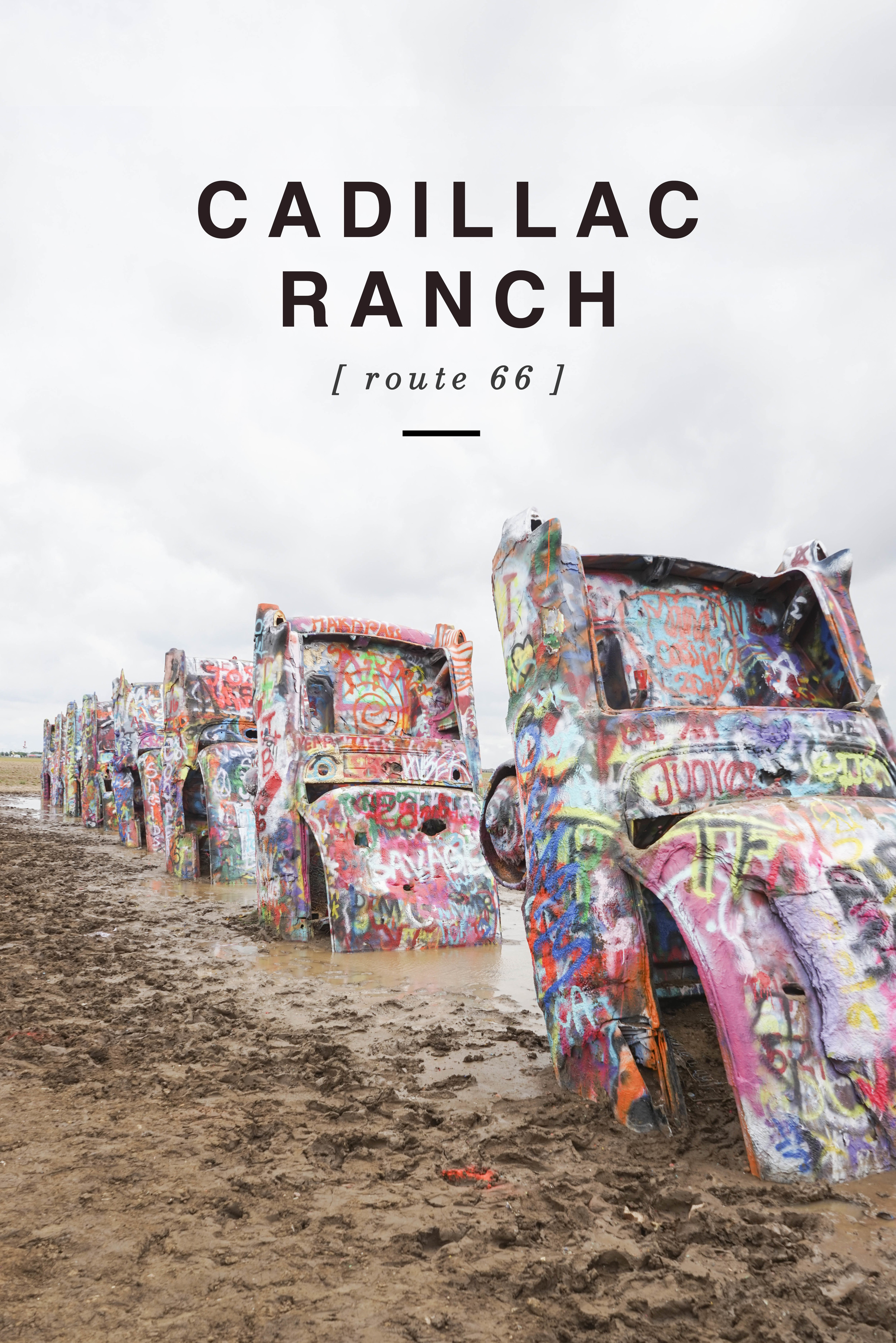 Cadillac Ranch - Shannon Did What?