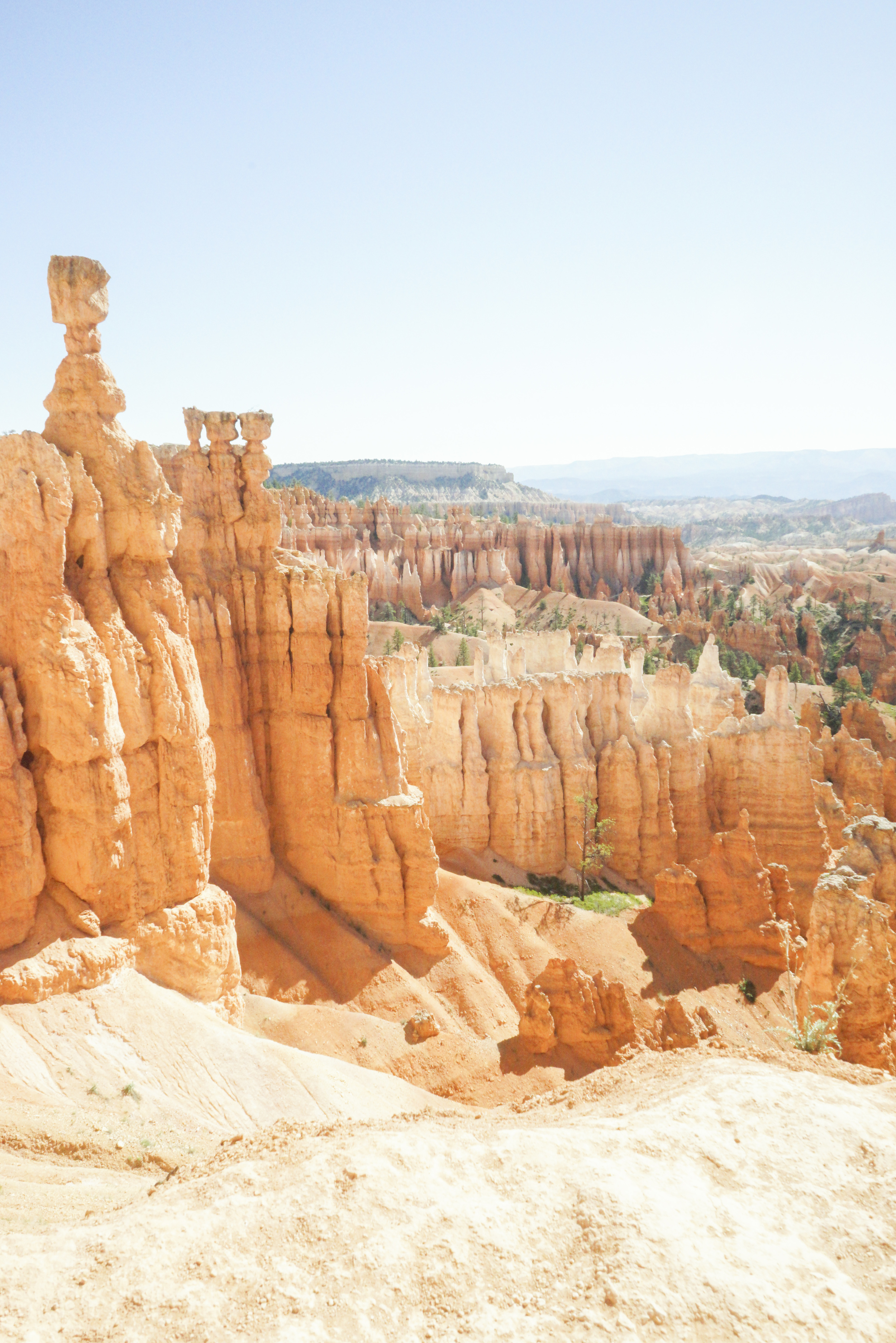 Bryce Canyon National Park - Shannon Did What?