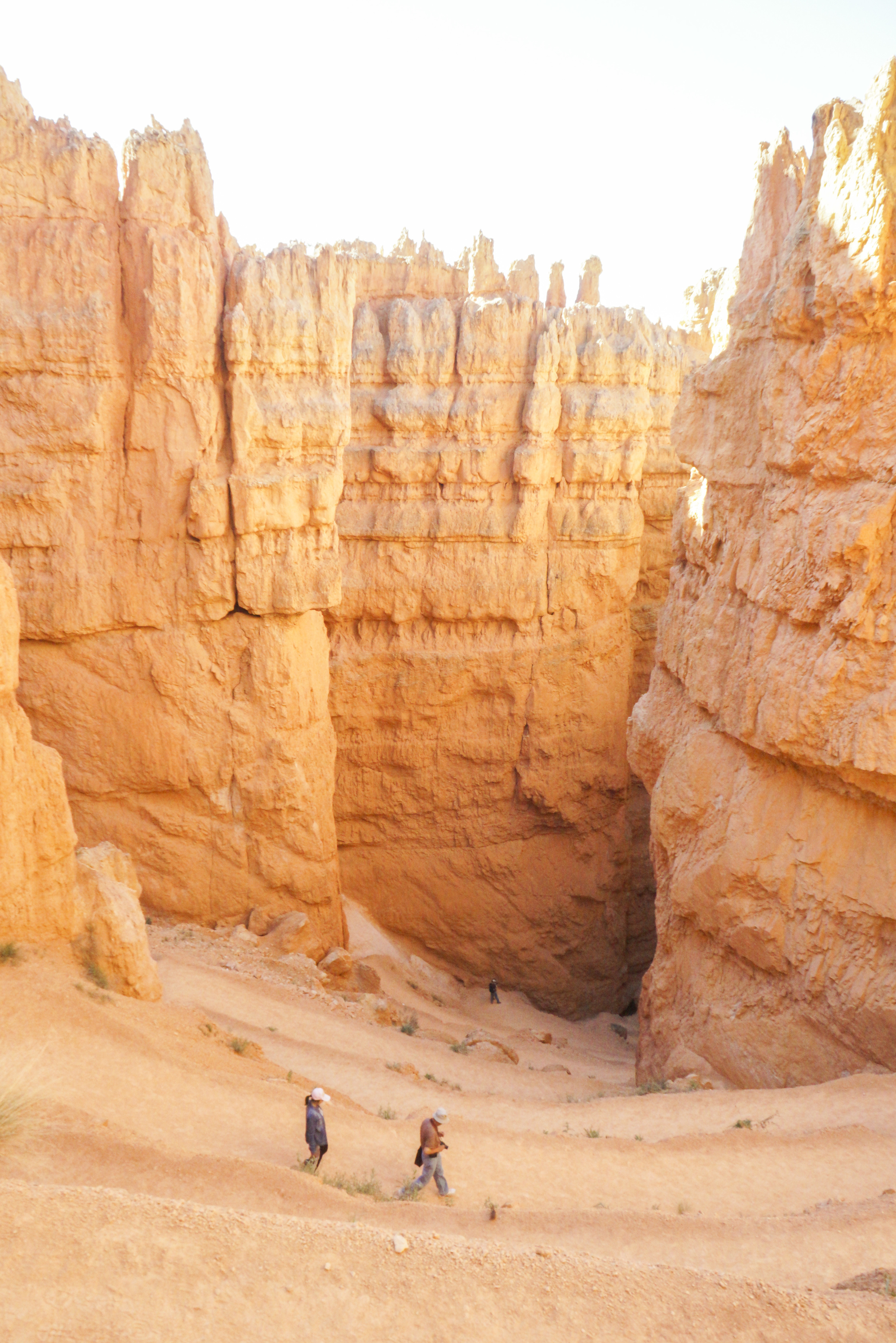 Bryce Canyon National Park - Shannon Did What?