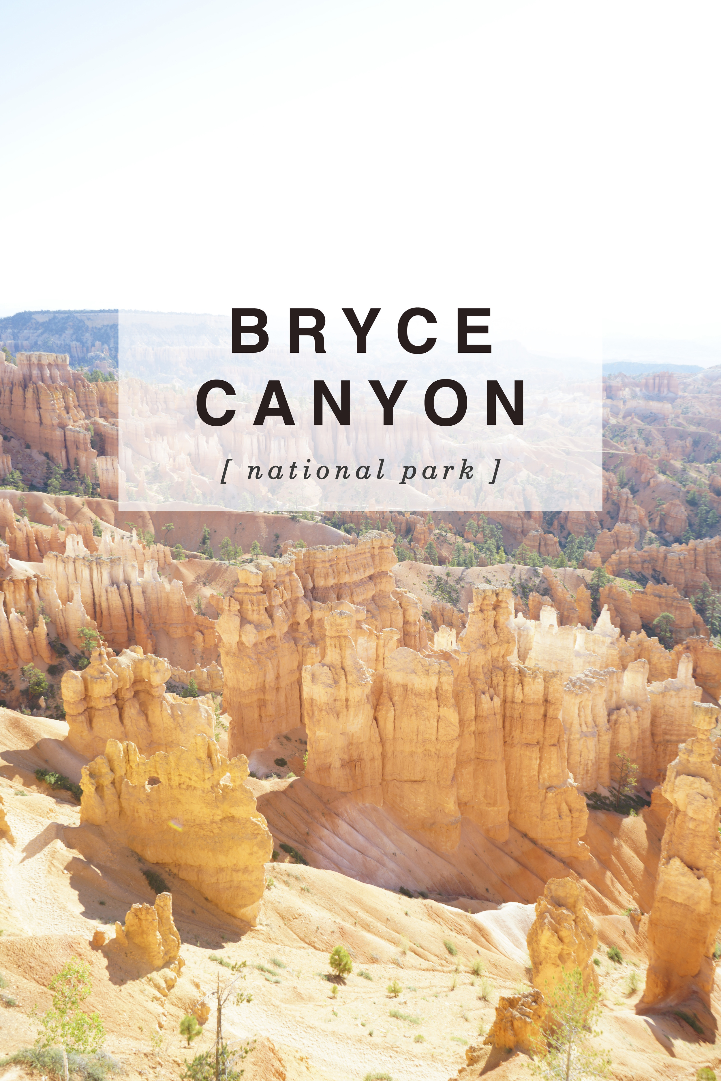 Bryce Canyon National Park - Shannon Did What?