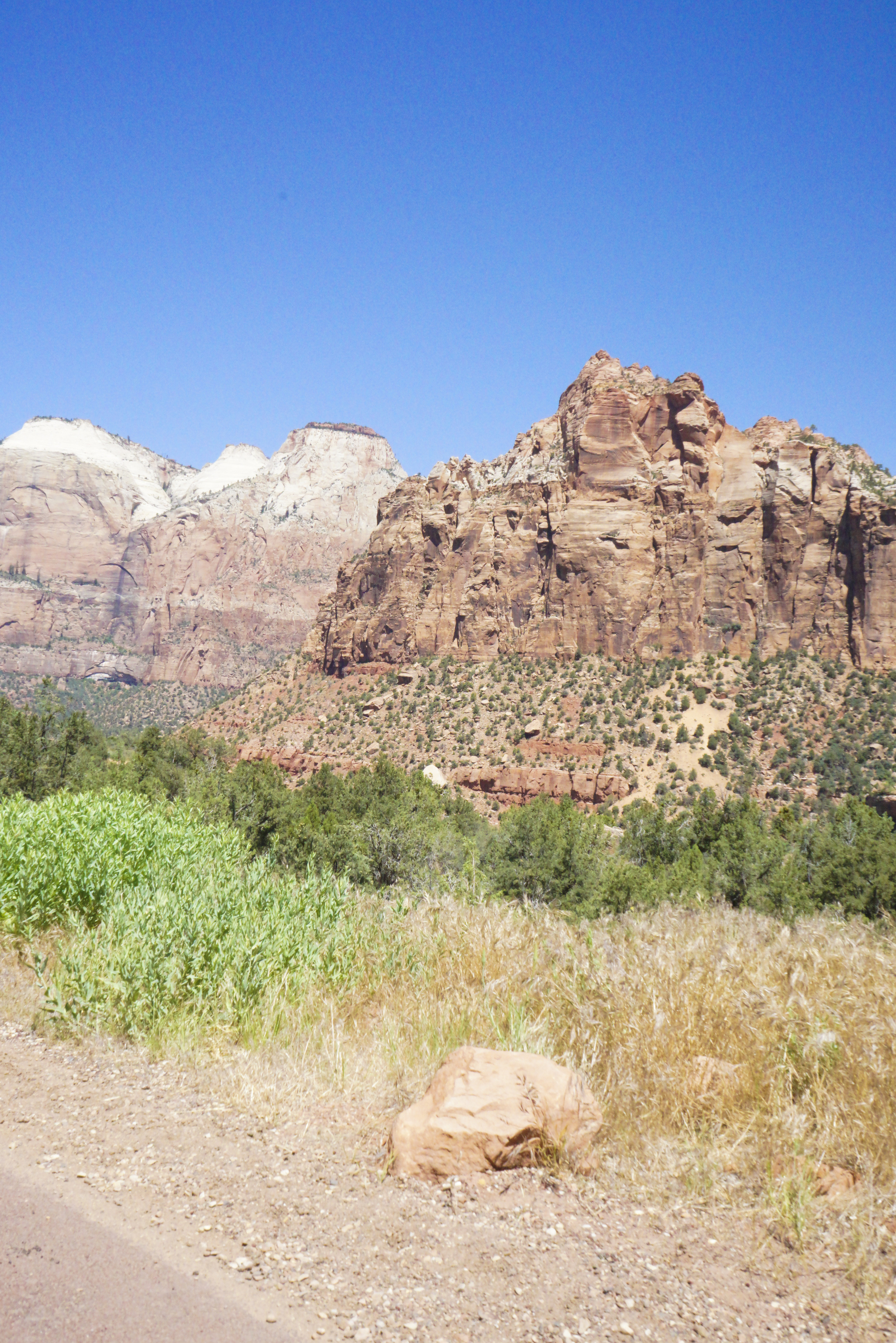 Zion National Park - Shannon Did What?