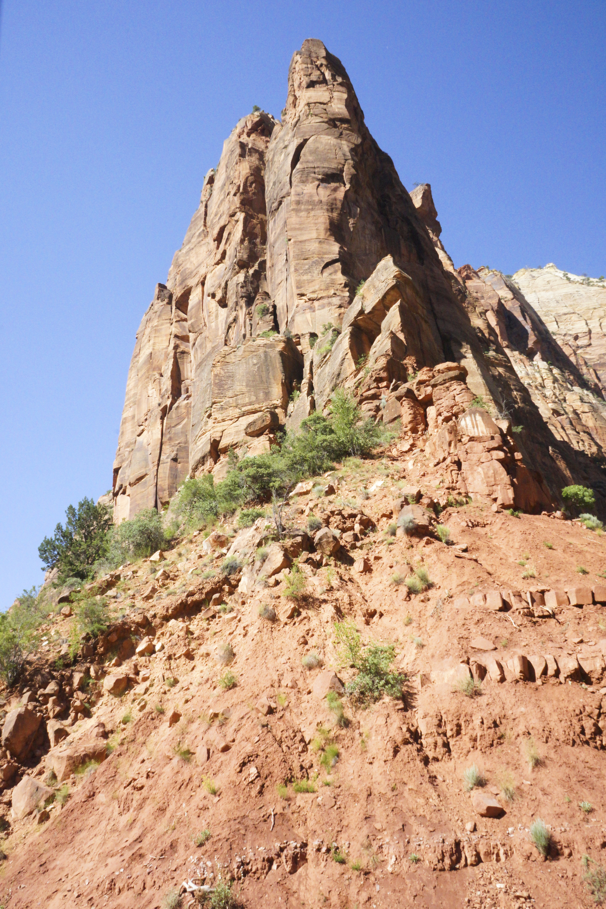 Zion National Park - Shannon Did What?