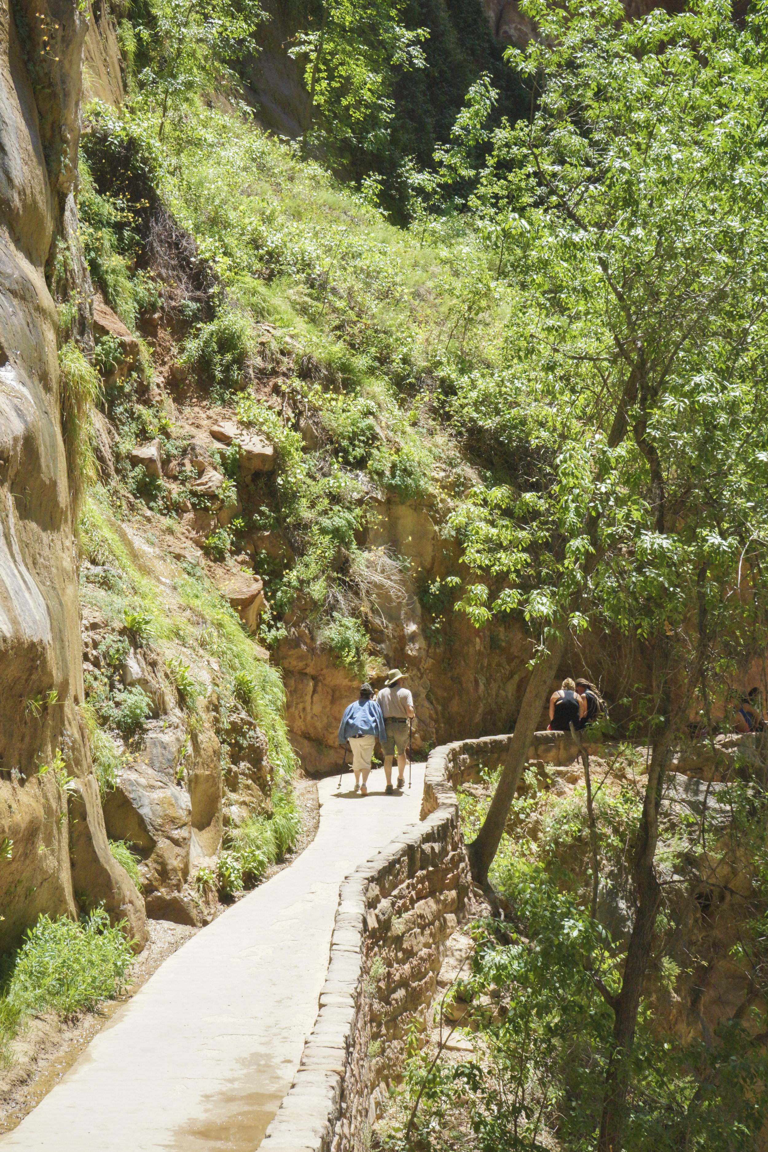 Zion National Park - Shannon Did What?