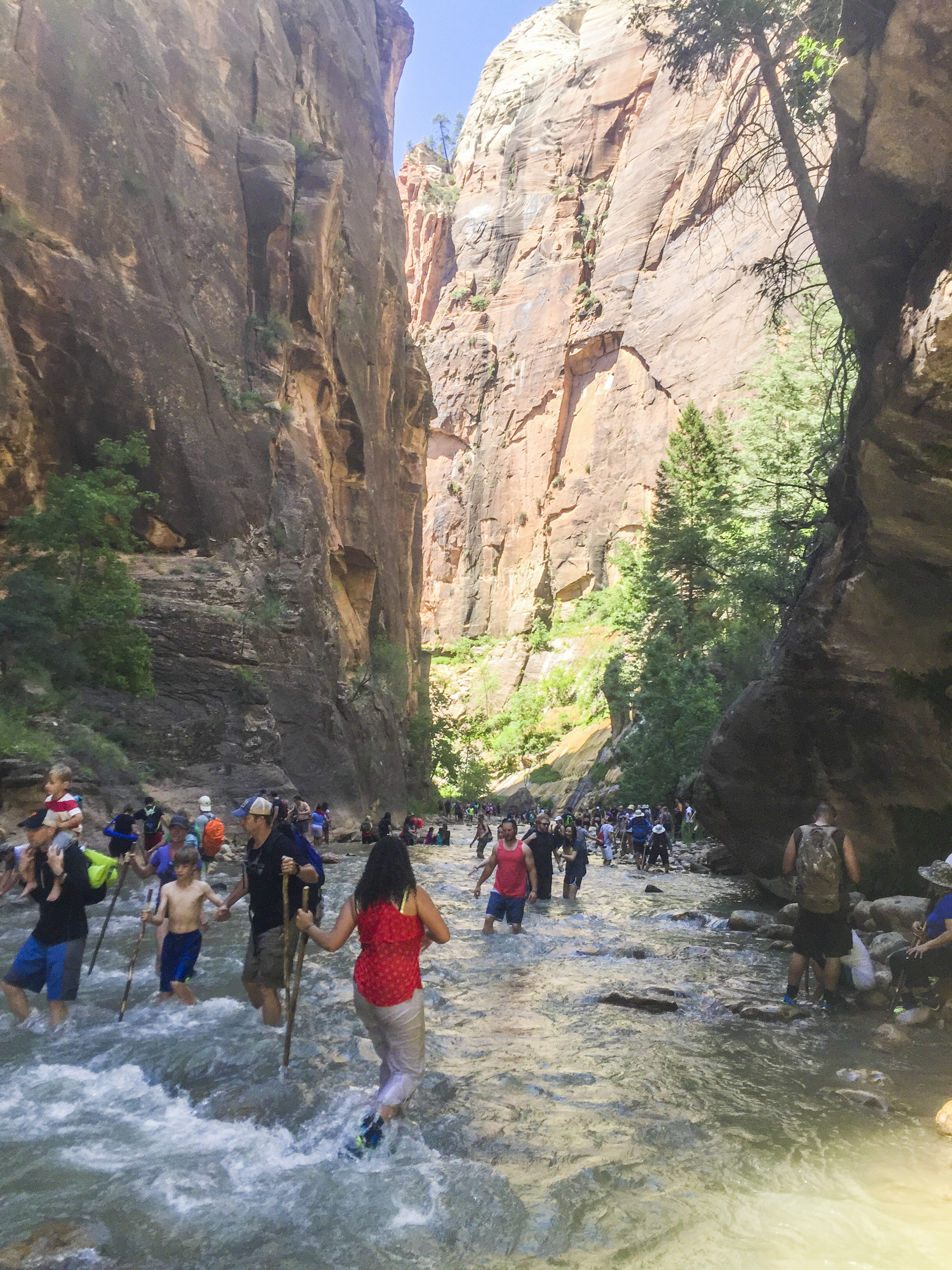 Zion National Park - Shannon Did What?