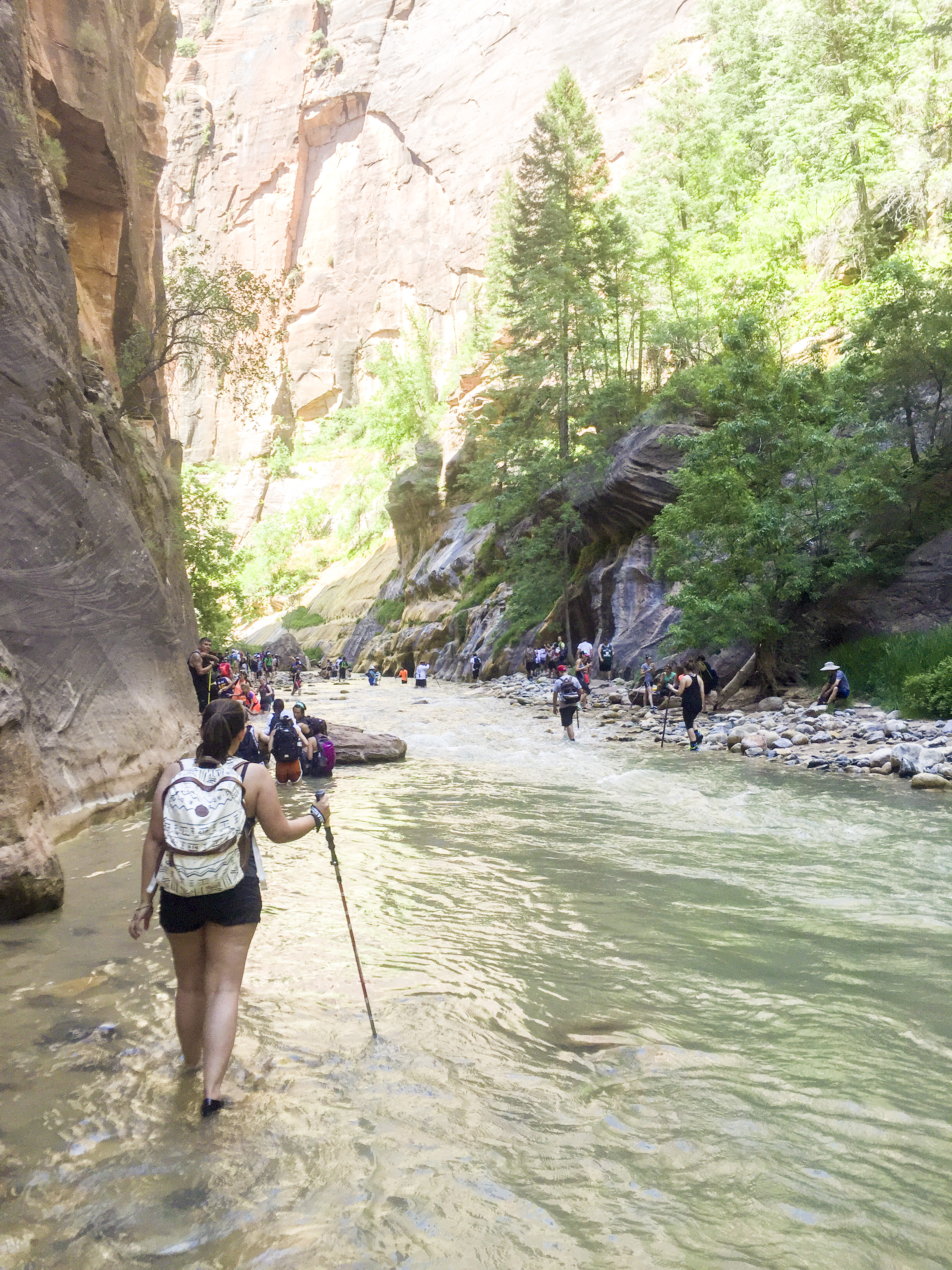 Zion National Park - Shannon Did What?