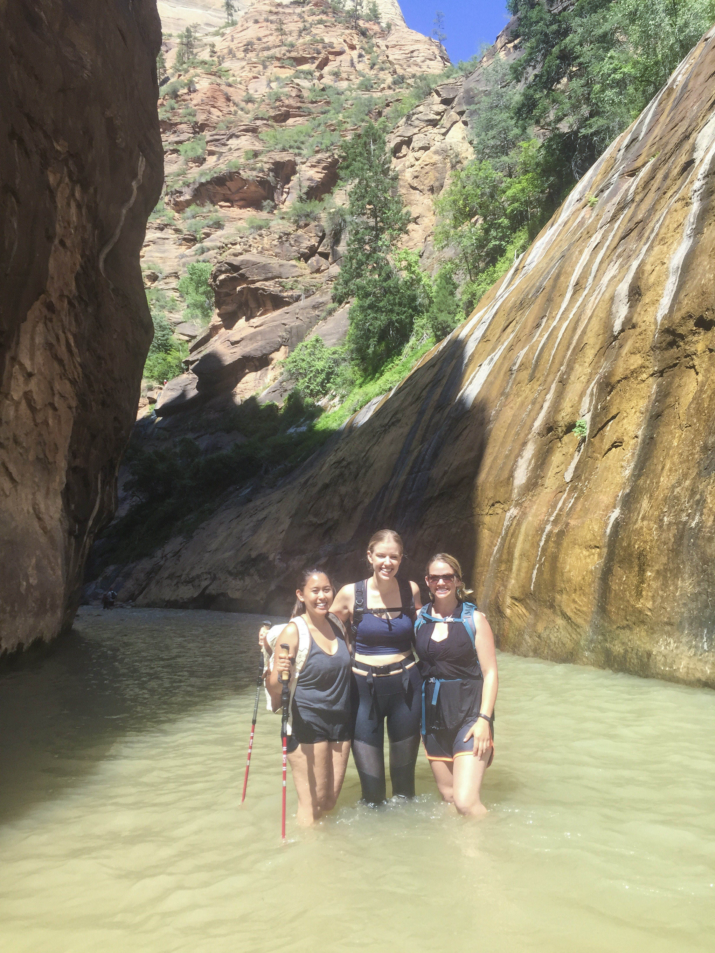 Zion National Park - Shannon Did What?