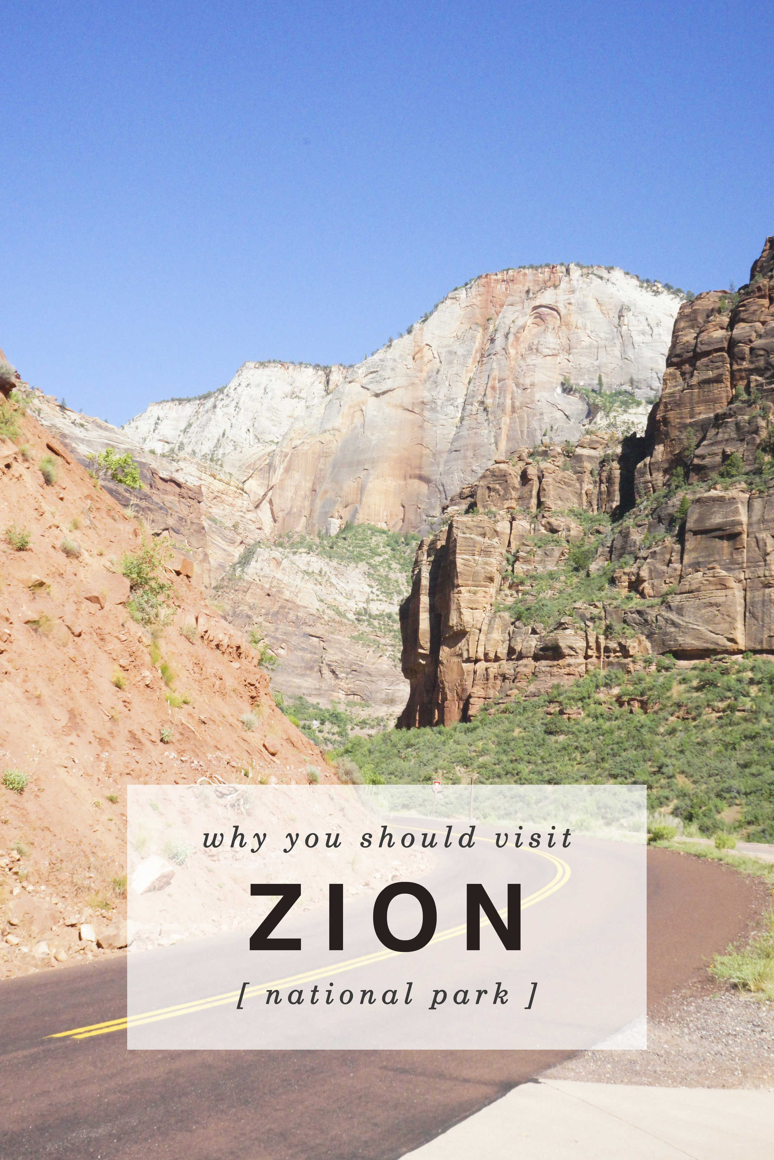 Zion National Park - Shannon Did What?