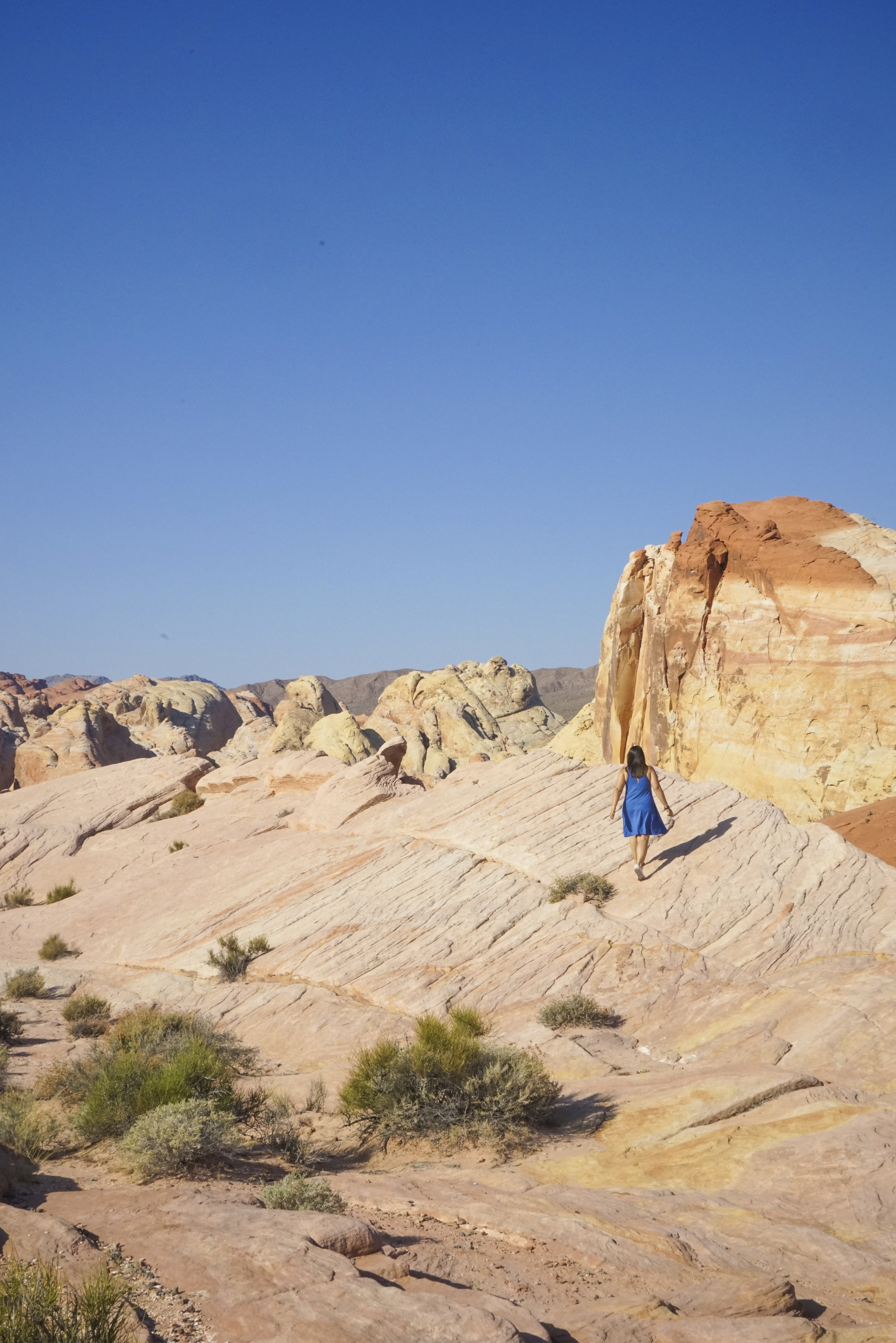 Valley of Fire - Shannon Did What?