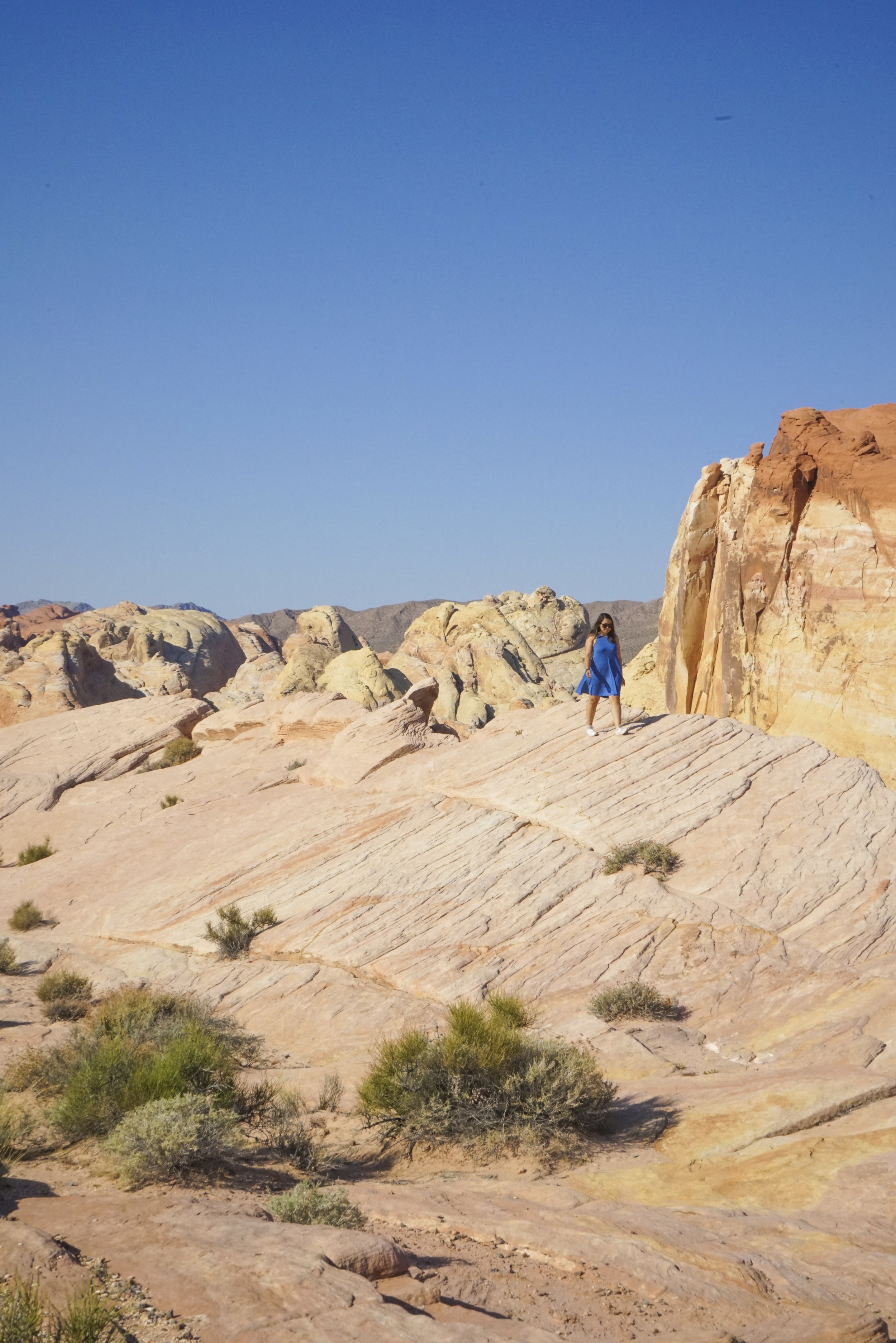 Valley of Fire - Shannon Did What?