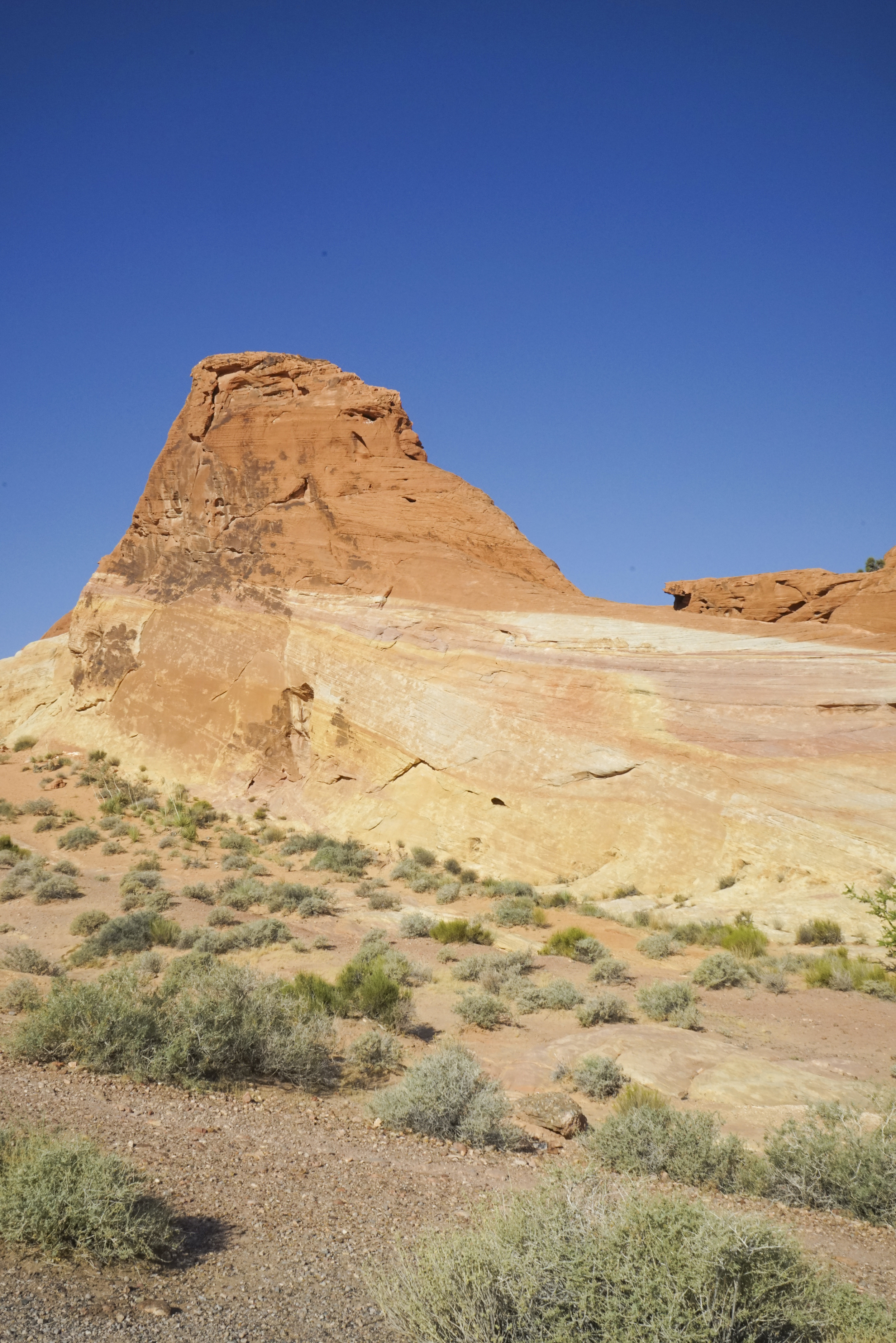 Valley of Fire - Shannon Did What?