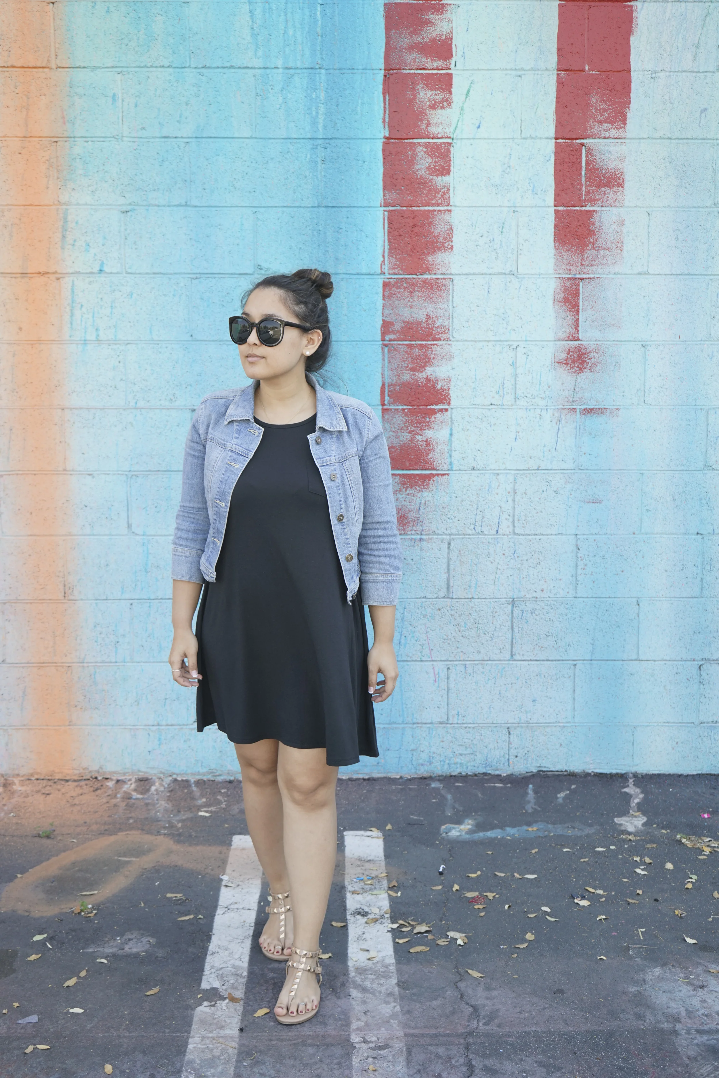 Colorful Walls, Pasadena - Shannon Did What?