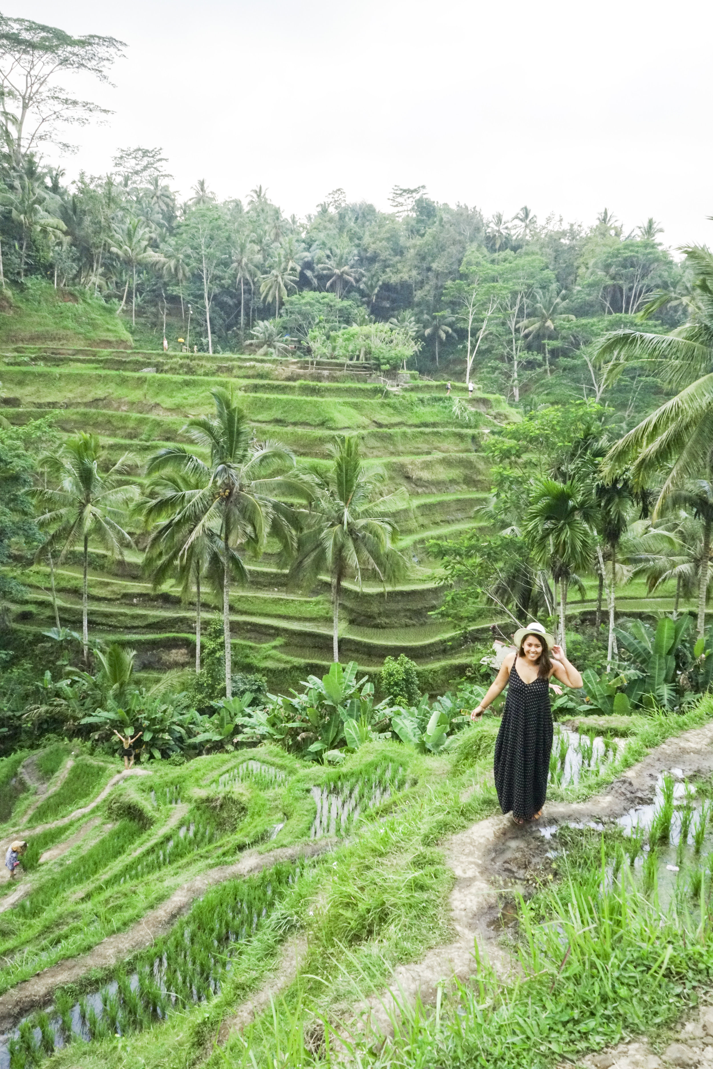 Bali: Ultimate Guide to Ubud - Shannon Did What?