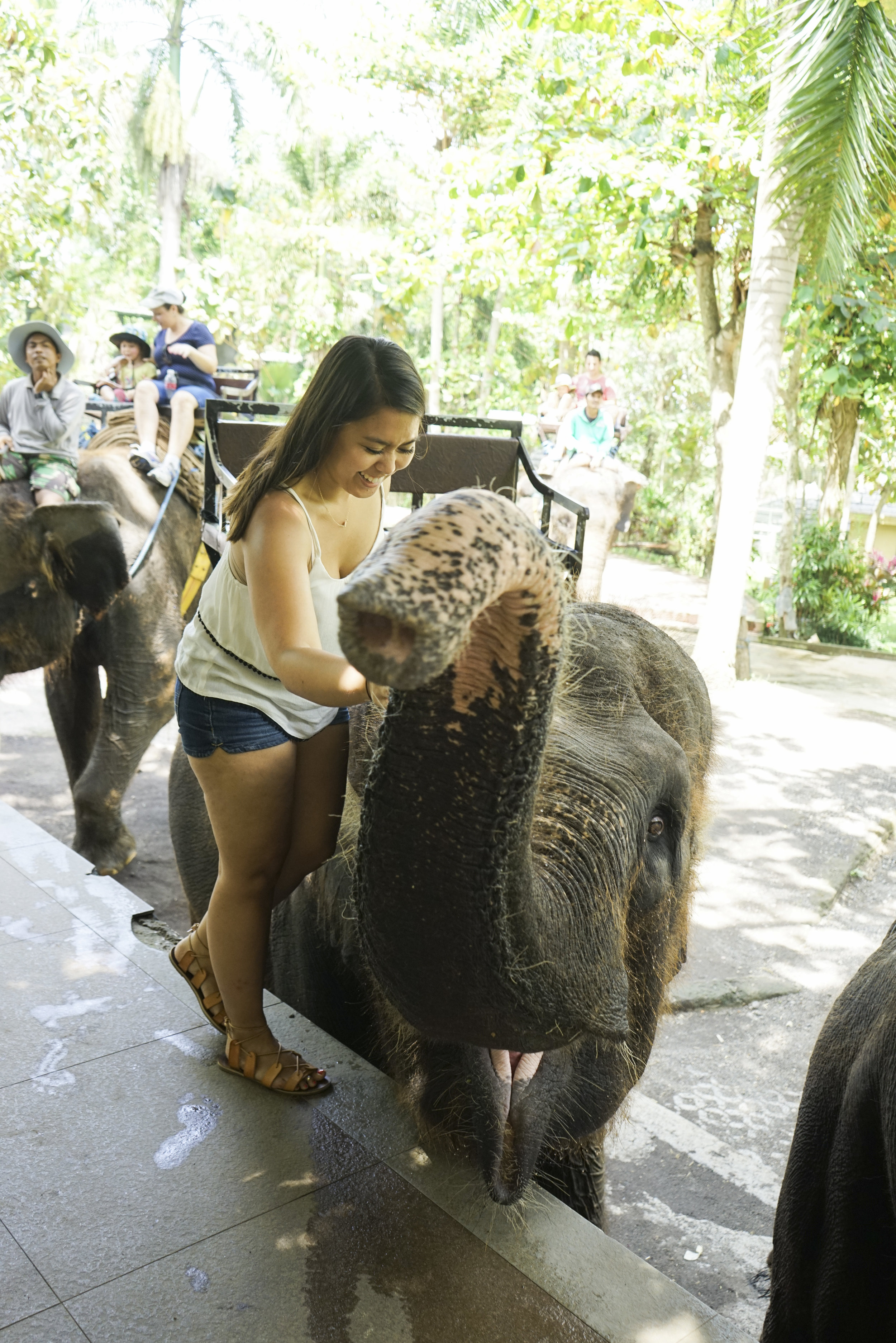 Bali: Ultimate Guide to Ubud - Shannon Did What?