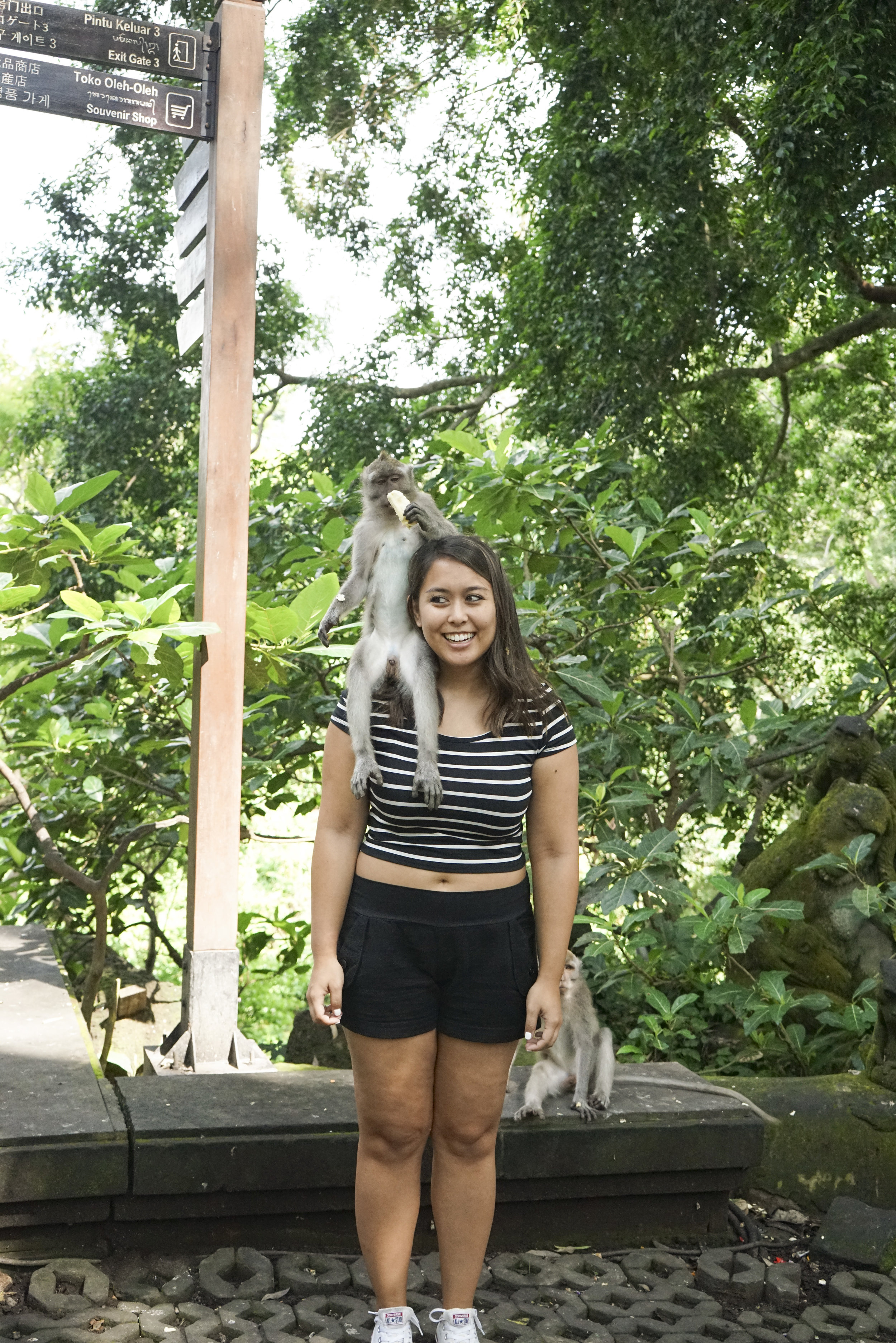Visiting the Ubud Monkey Forest - Shannon Did What?