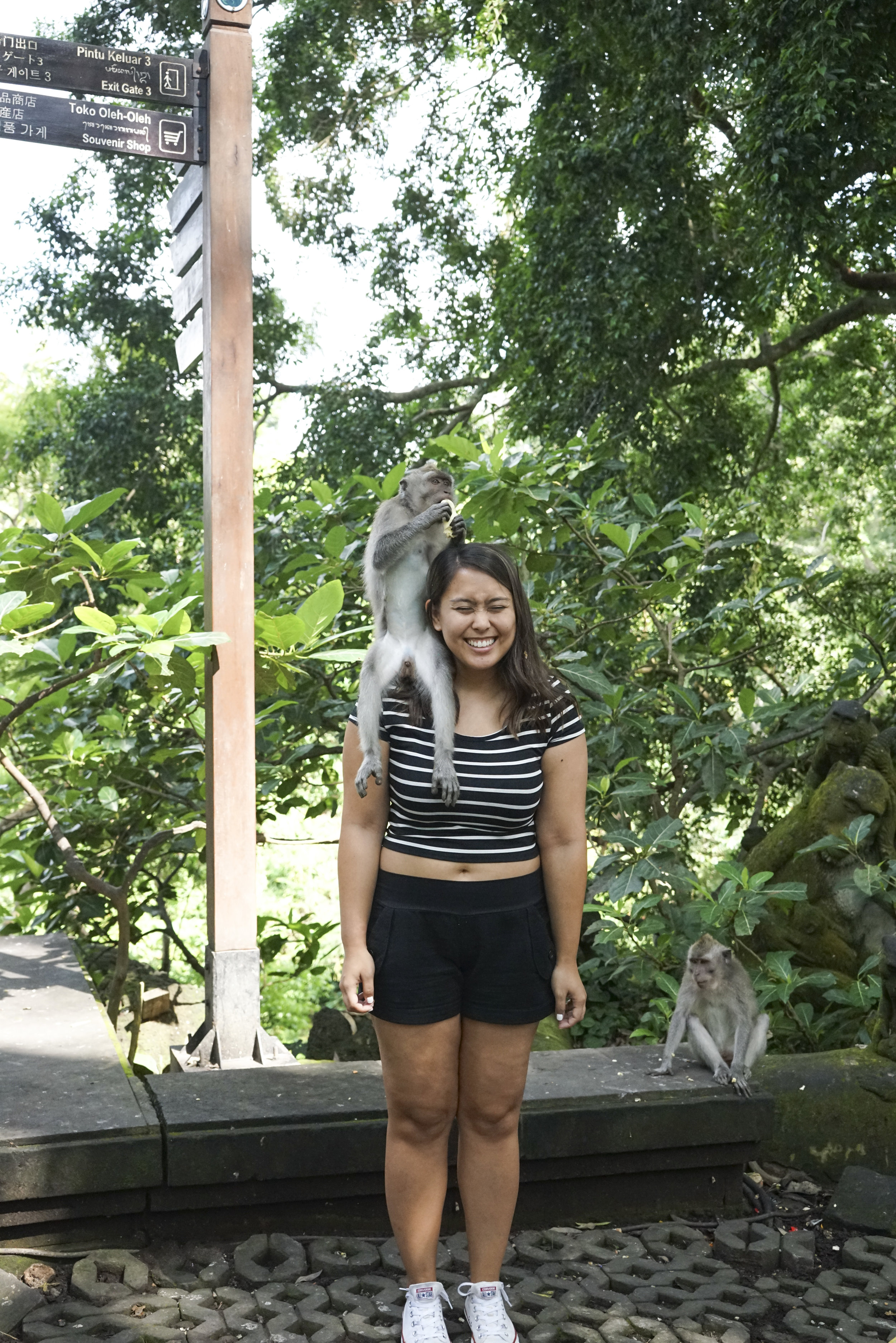 Visiting the Ubud Monkey Forest - Shannon Did What?
