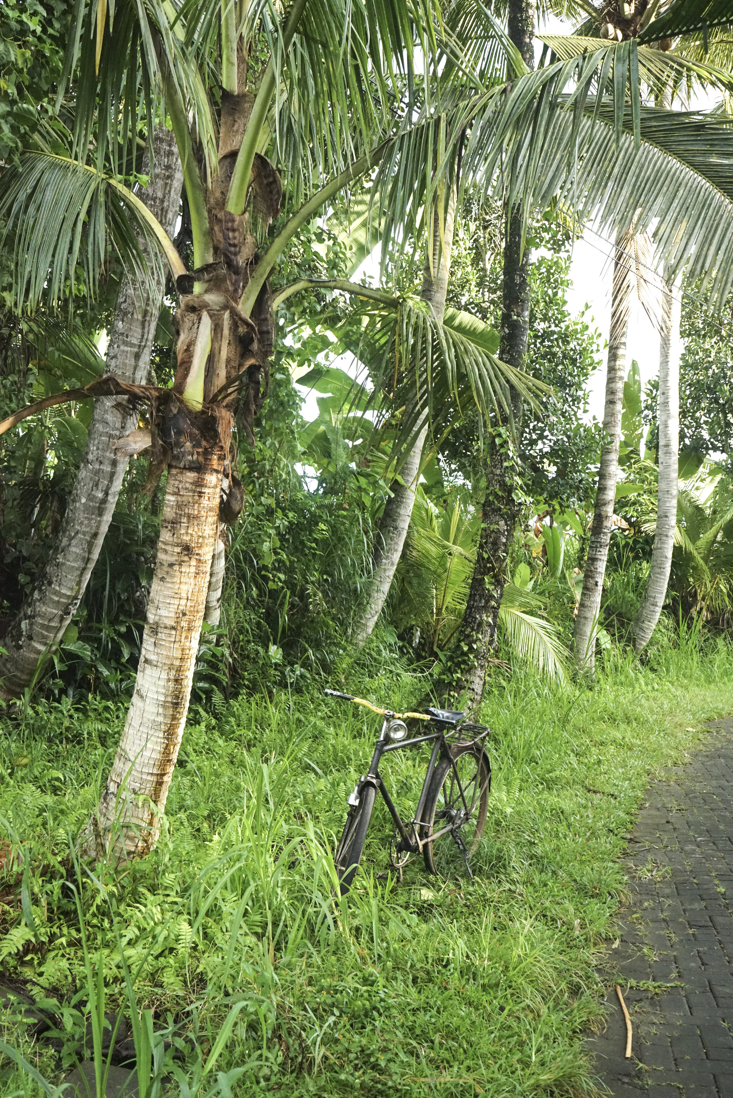 Alila_Ubud_006.jpg