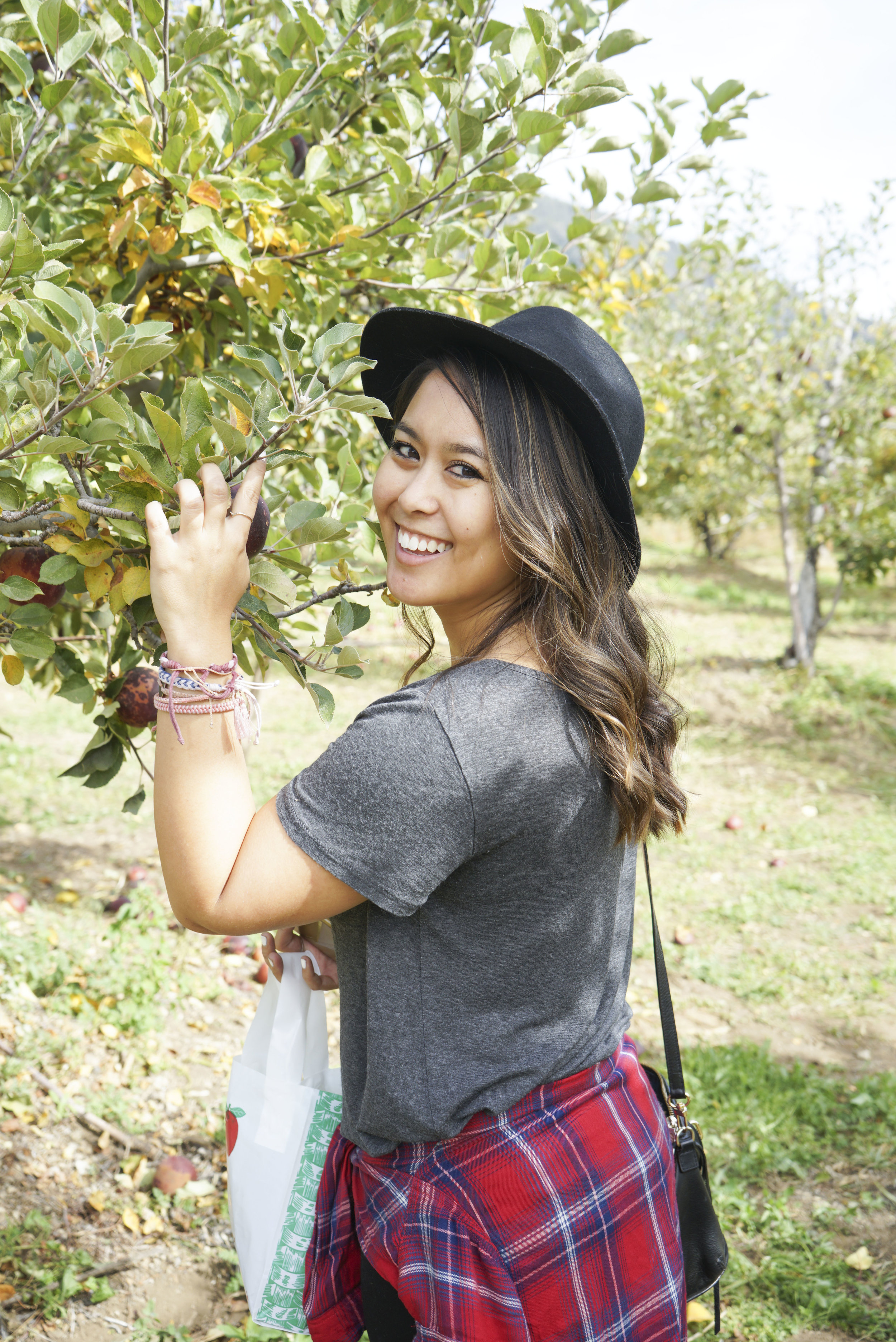 Apple_Picking_016.jpg