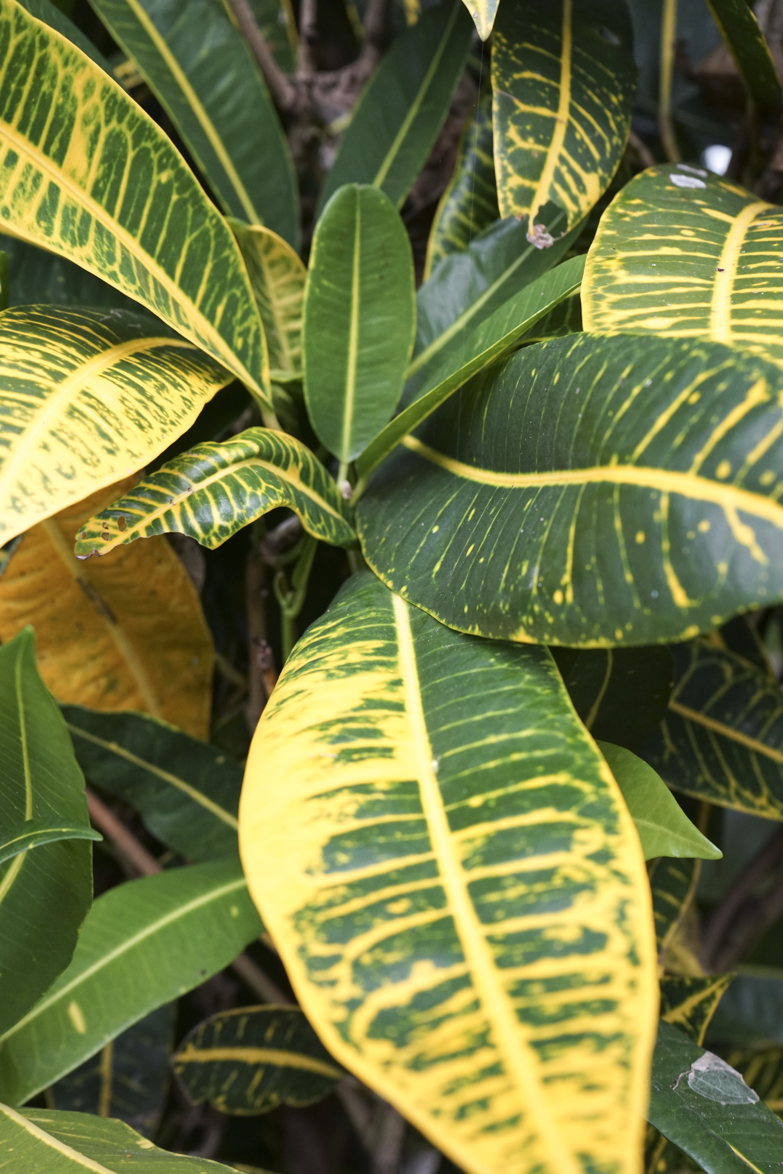 Bali_2016_076.jpg