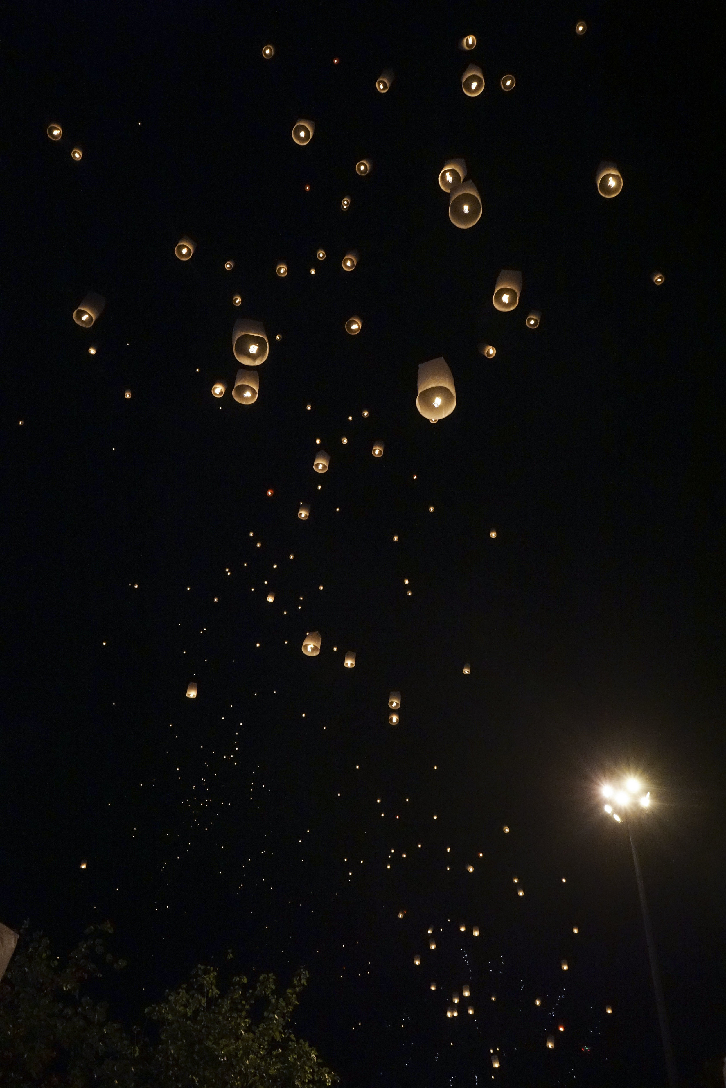 Spend New Years in Chiang Mai, Thailand | Shannon Did What?