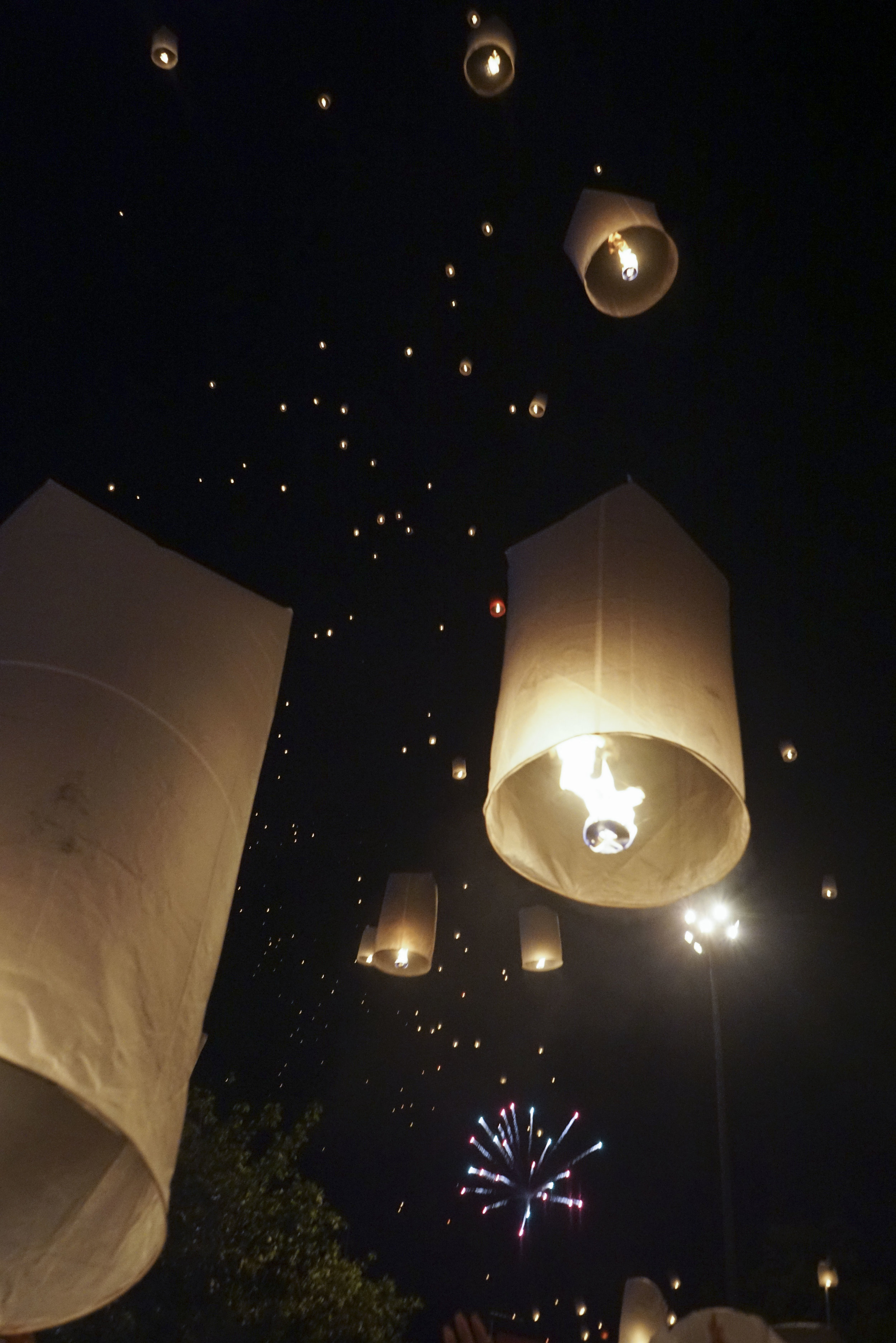 Spend New Years in Chiang Mai, Thailand | Shannon Did What?