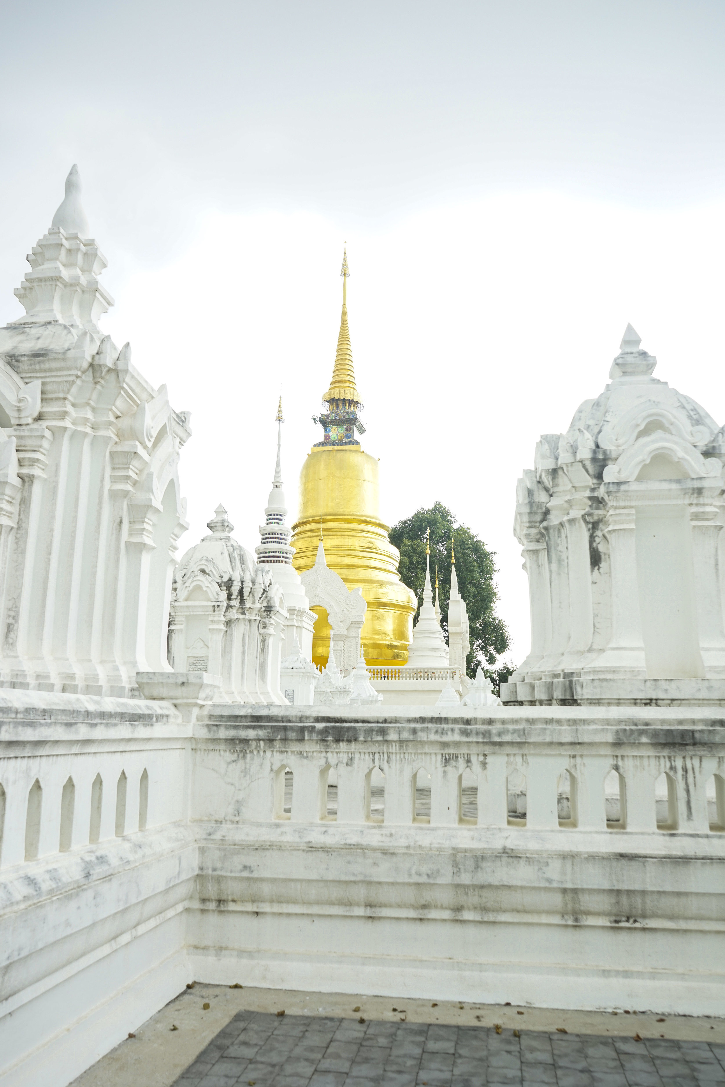 Four Things to Not Miss in Chiang Mai, Thailand - Shannon Did What?
