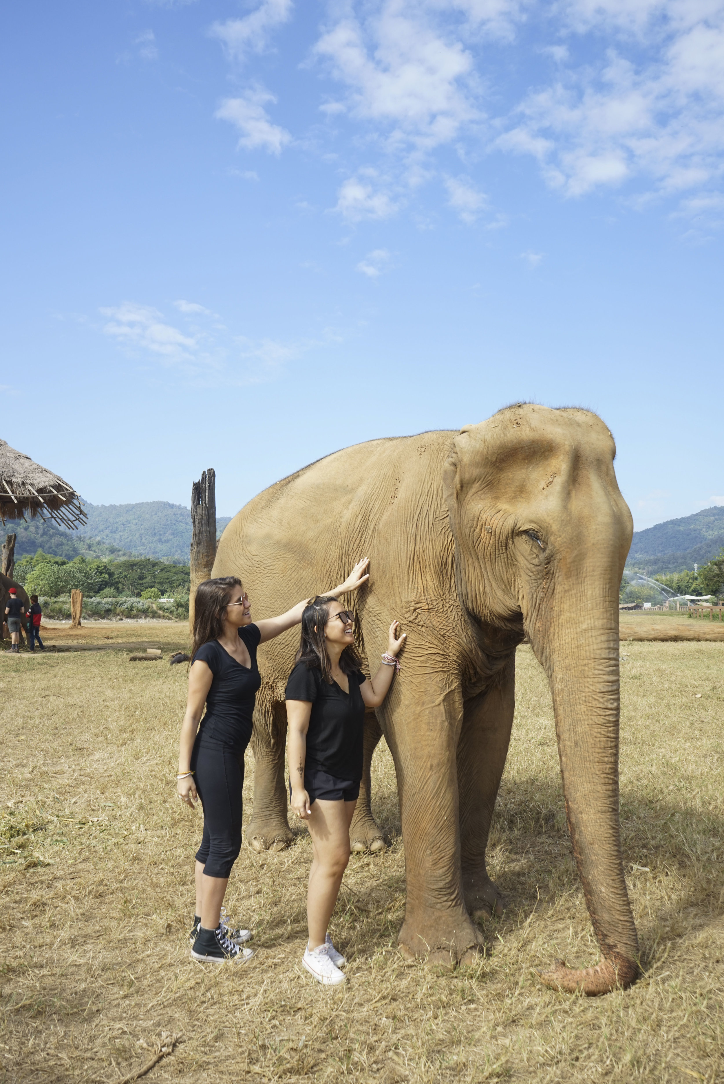 Spending a Day at the Elephant Nature Park - Shannon Did What?