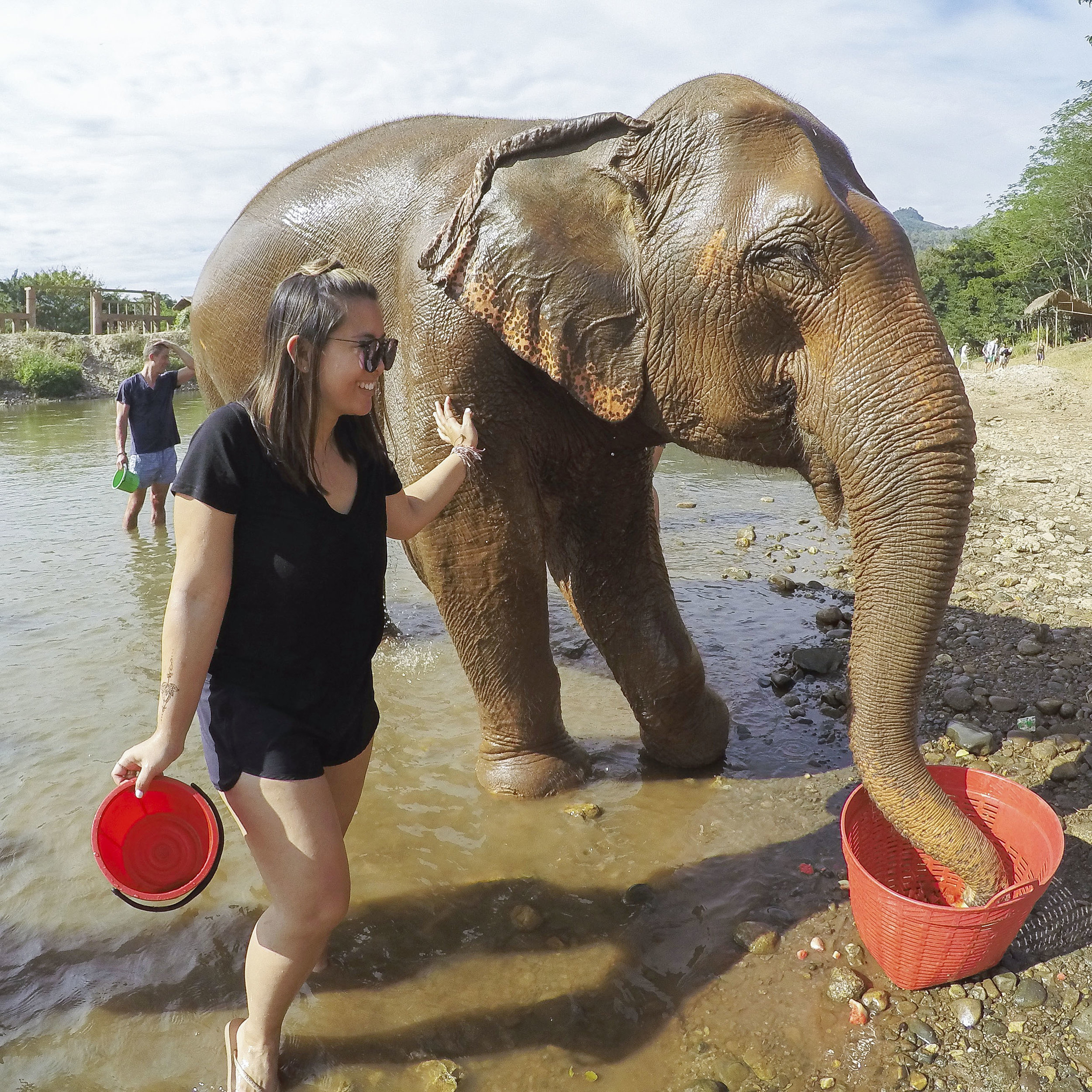 Spending a Day at the Elephant Nature Park - Shannon Did What?