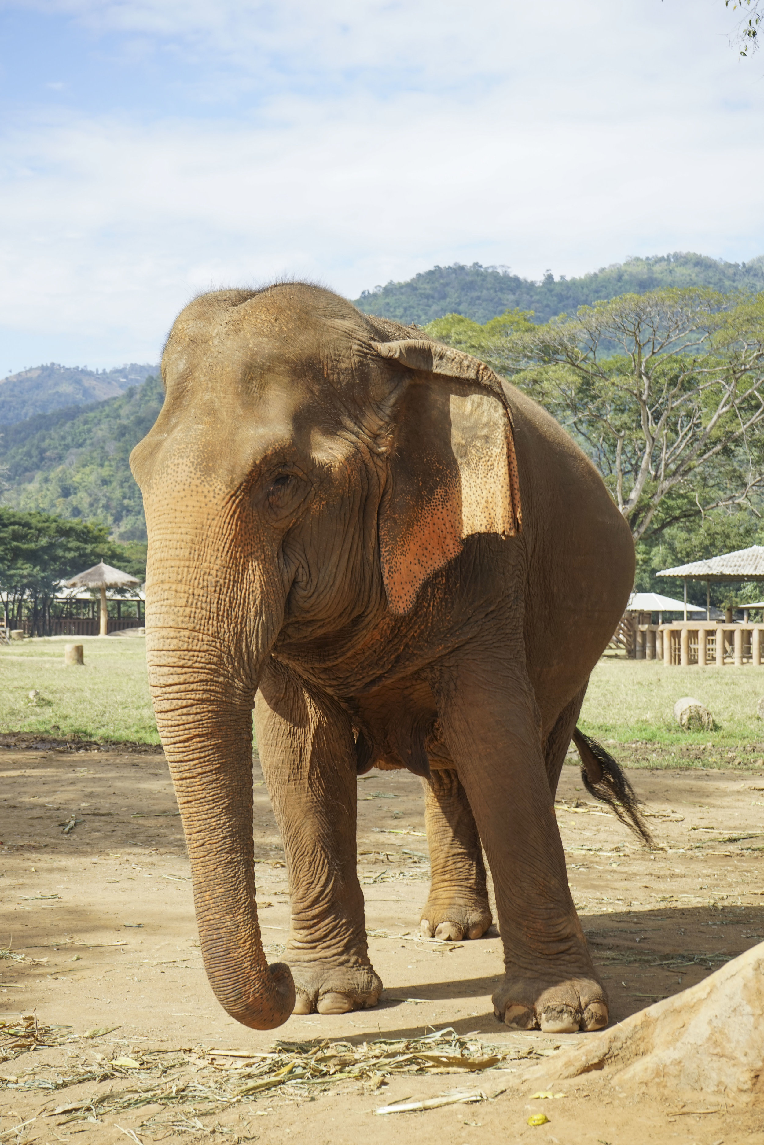 5 Day Trips from Chiang Mai, Thailand - Shannon Did What?Five Day Trips from Chiang Mai, Thailand | Shannon Did What?